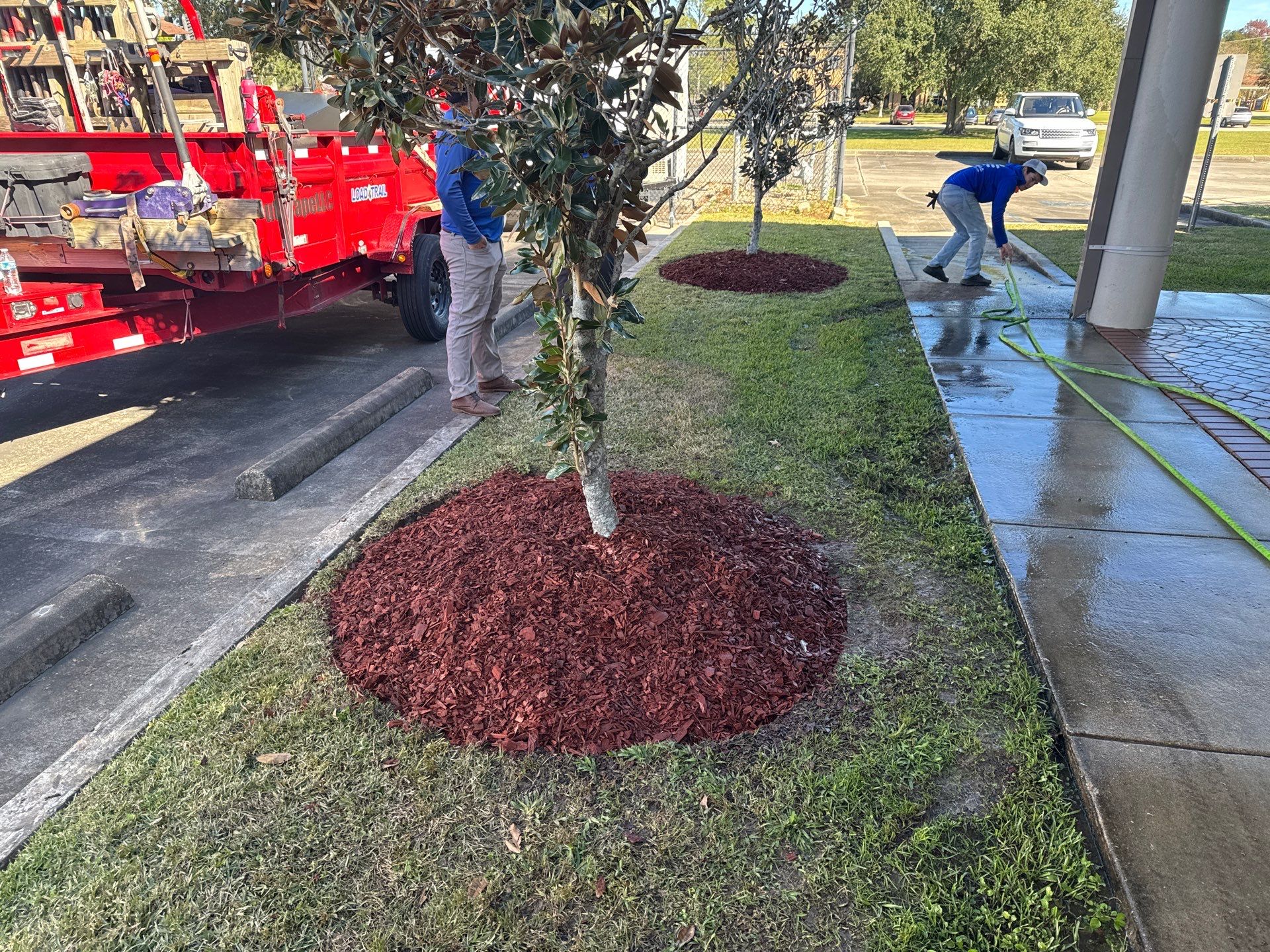 COMMERCIAL: BED CLEAN / MULCH INSTALL  by CutScape, LLC.