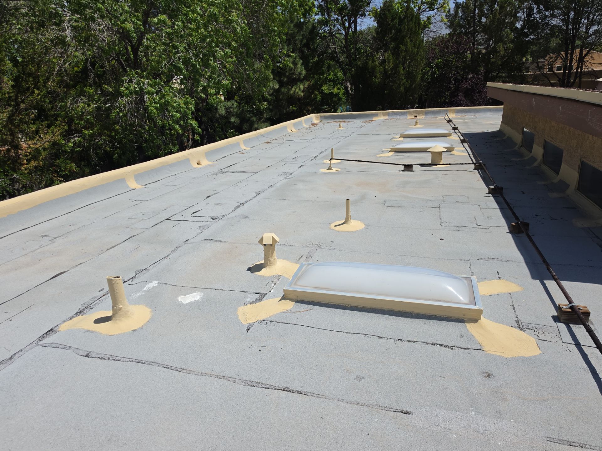 TPO Roof Replacement and Skylight Upgrade in the Northeast Heights, Albuquerque by Doyle Roof Masters Inc