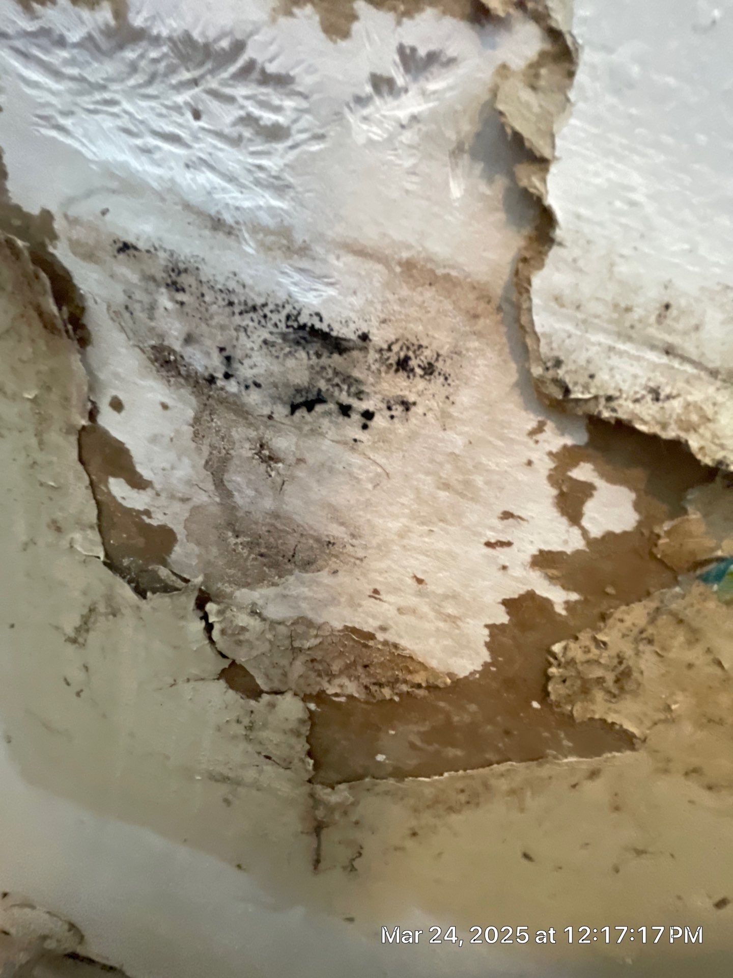 Project in Fresno  by 911 Hazmat Cleanup 