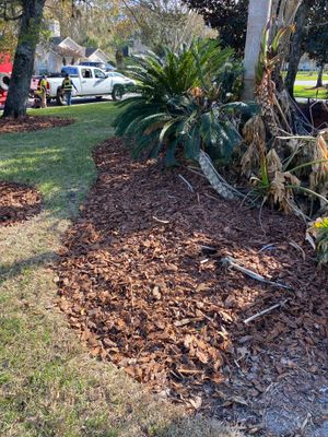 Residential | Landscaping