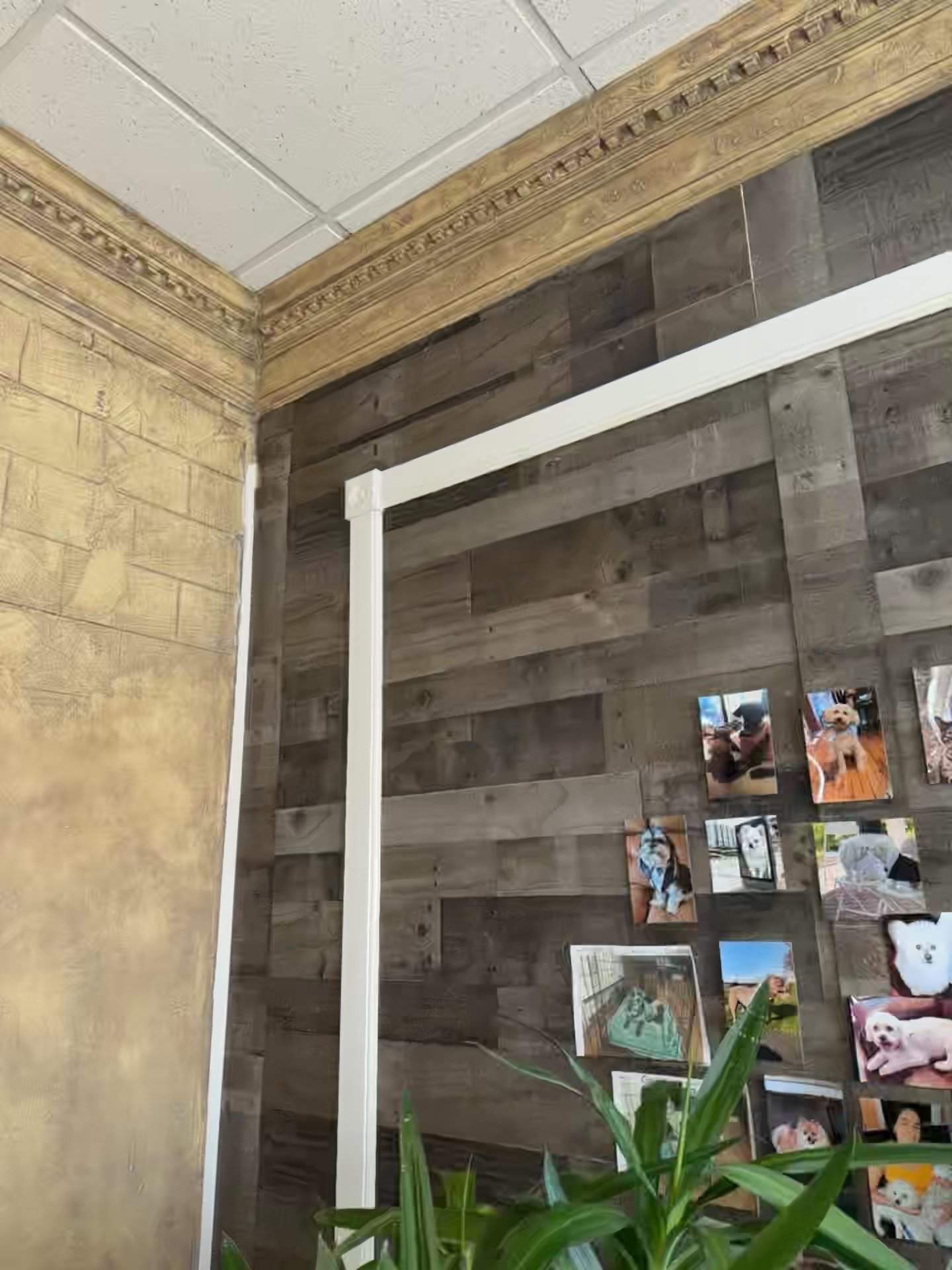 Water Damage Claim in Dover by FLAPA & KeyStone