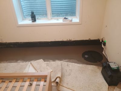 Finished-Basement Drain Tile & Sump Pump in Southwest Minneapolis