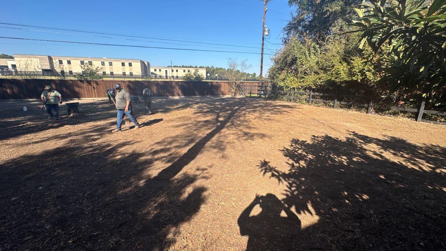 Mr. Jeff — Backyard Drainage & Grading Improvement by Texas Urban Elements