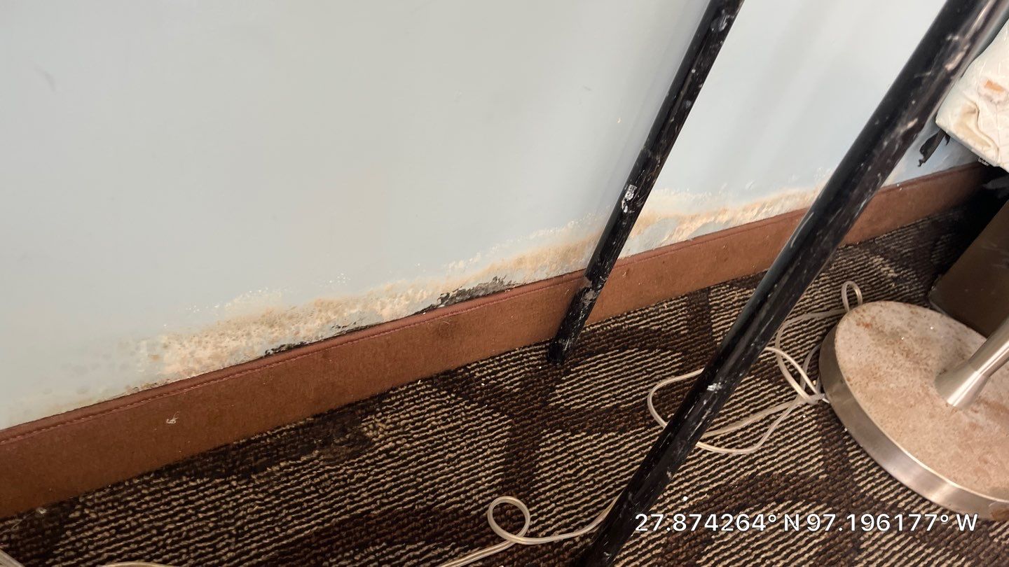 OH No, OYO! by Bayfront Roofing and Construction