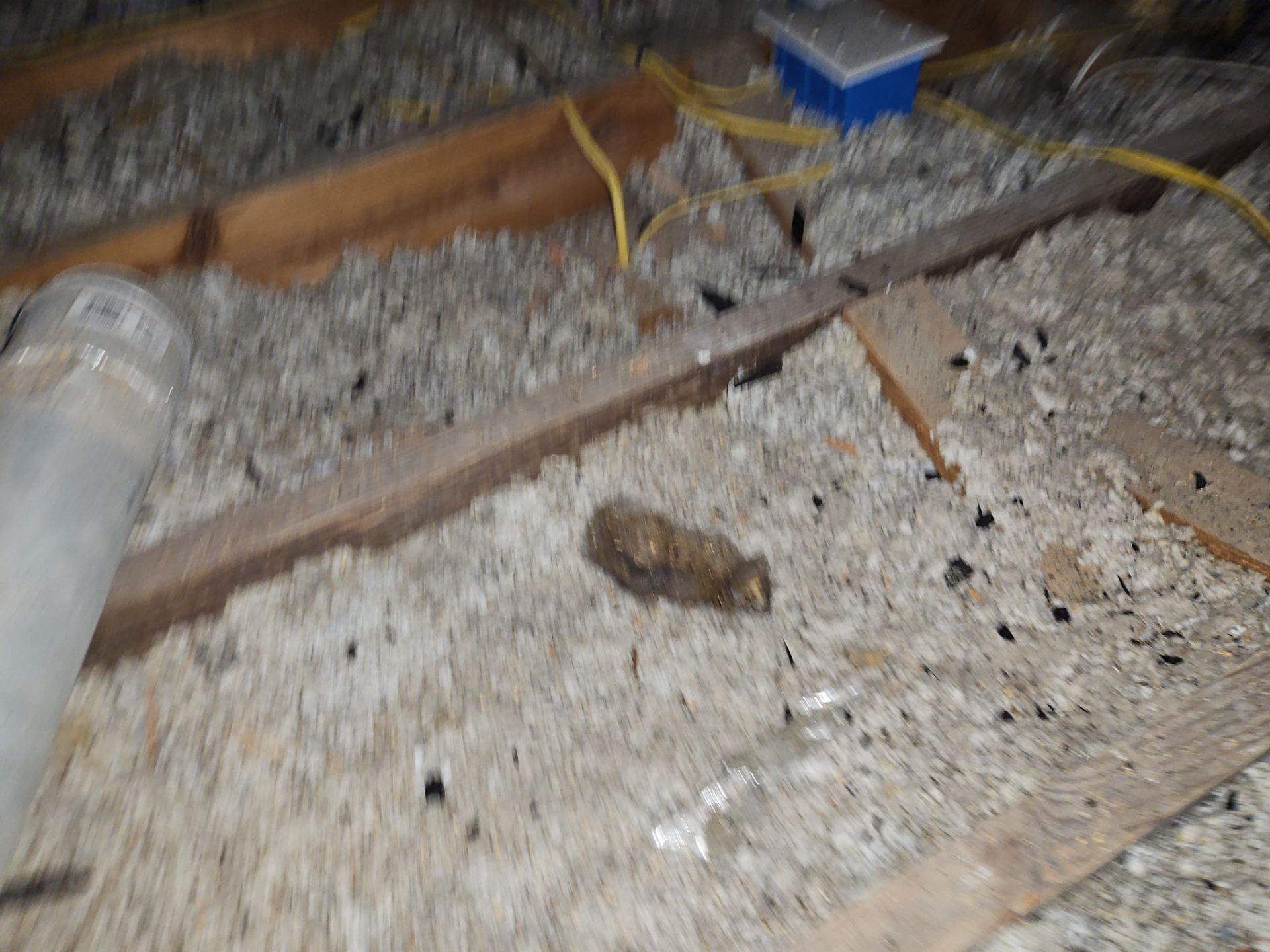 Project in Washington, DC by Founders Insulation