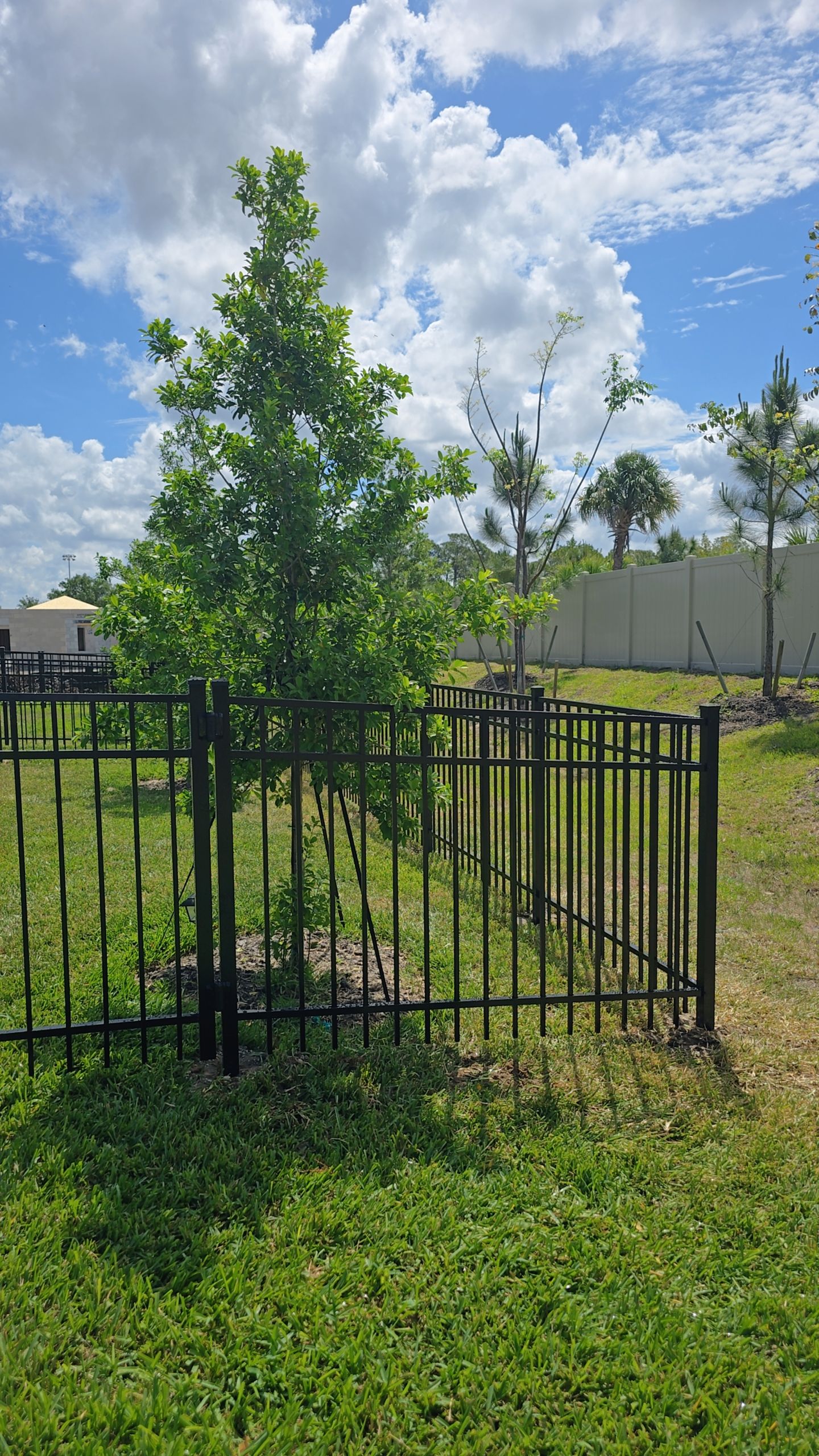 Aluminum Fence in The Cove at West Port by True Fence LLC