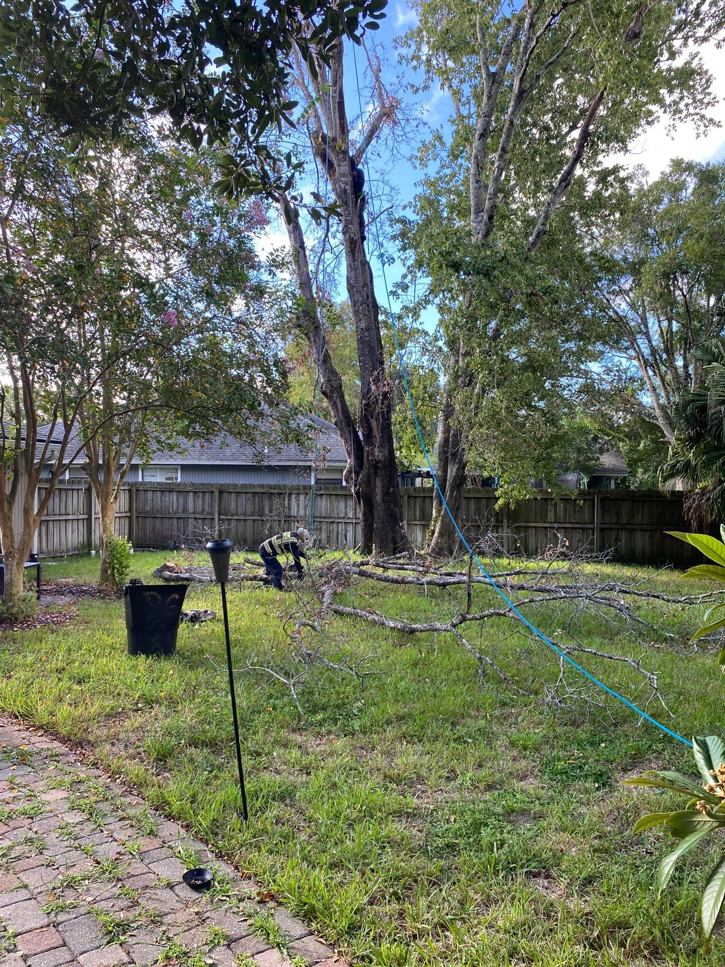 Tree Removal | Residential by ProGreen Services