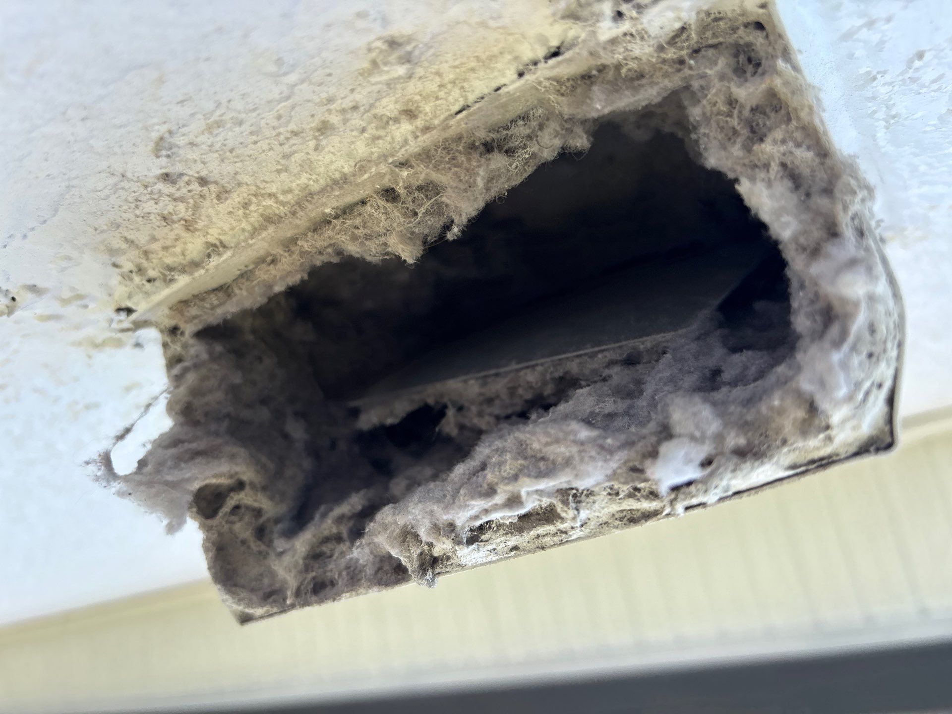 Air Duct and Dryer Vent Cleaning in Orlando by Hygienic Air, Inc