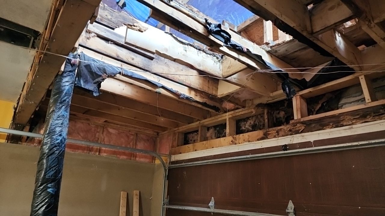 Full house renovation by Eco-Nature Construction Inc.
