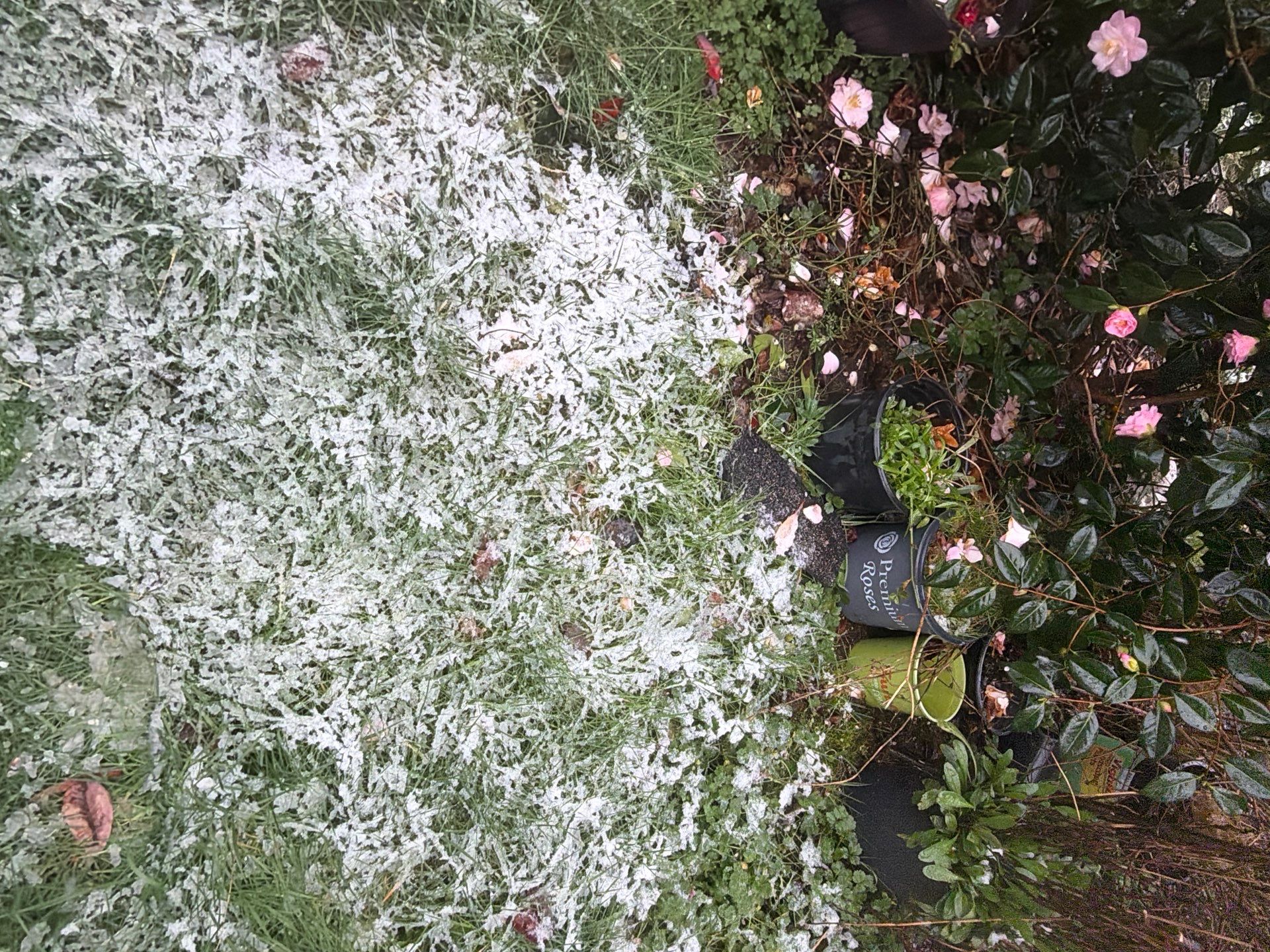 Roof in Lake Stevens by Connolly Construction Company