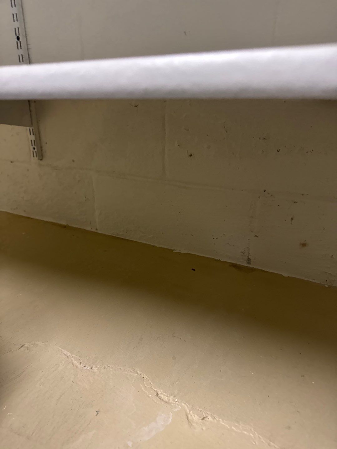 Sump Pump & Discharge Upgrade in Southwest Minneapolis by Waterproofing Northeast