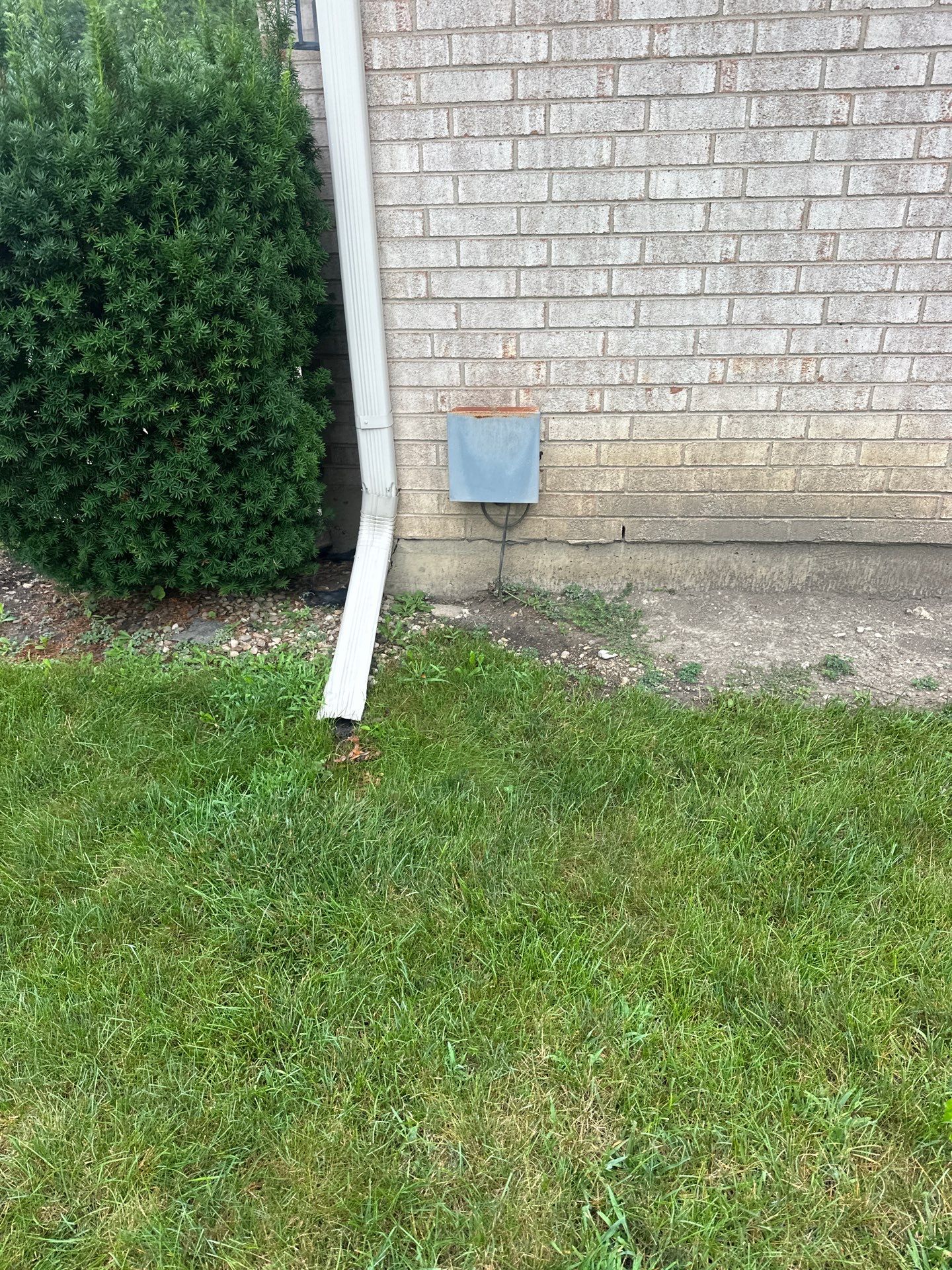 Marie R. - Glenview, IL by A&N 