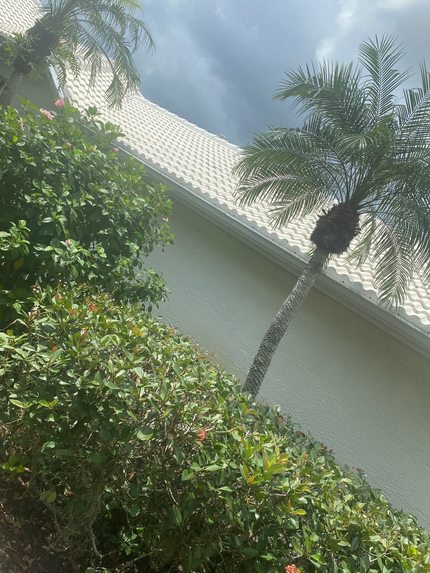 Leaf Guard using Gutter Guards for Florida Home by Gutter Professors