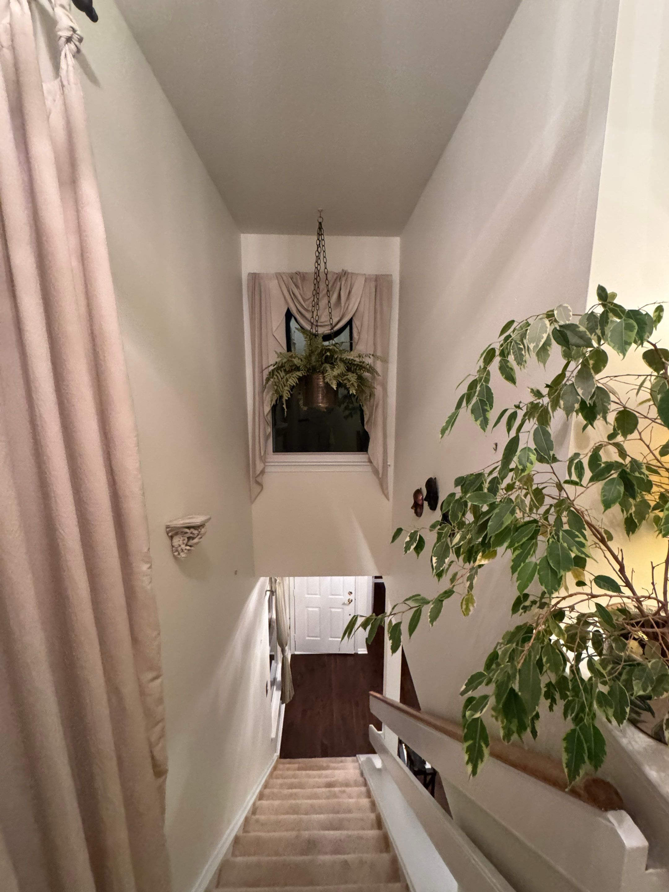 Full Home Transformation in Collegeville, PA by Davis Painting Llc 