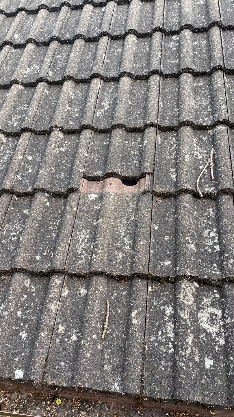 Roof - Driveway - Patio using Honda 15lpm Low Pressure Washing Machine by Ges Exterior Cleaning ltd