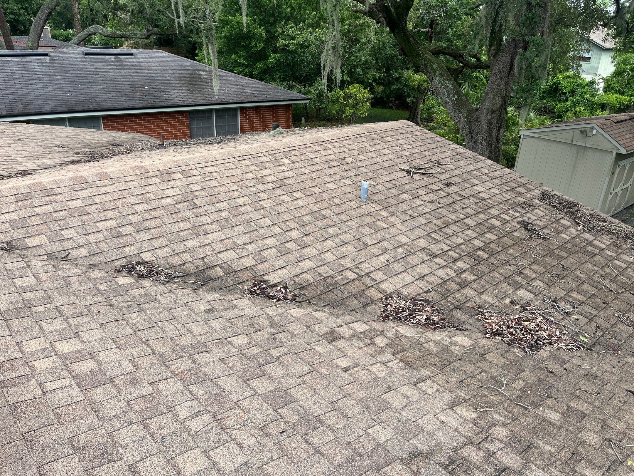 Shingle -> Shingle by Prime Roofing