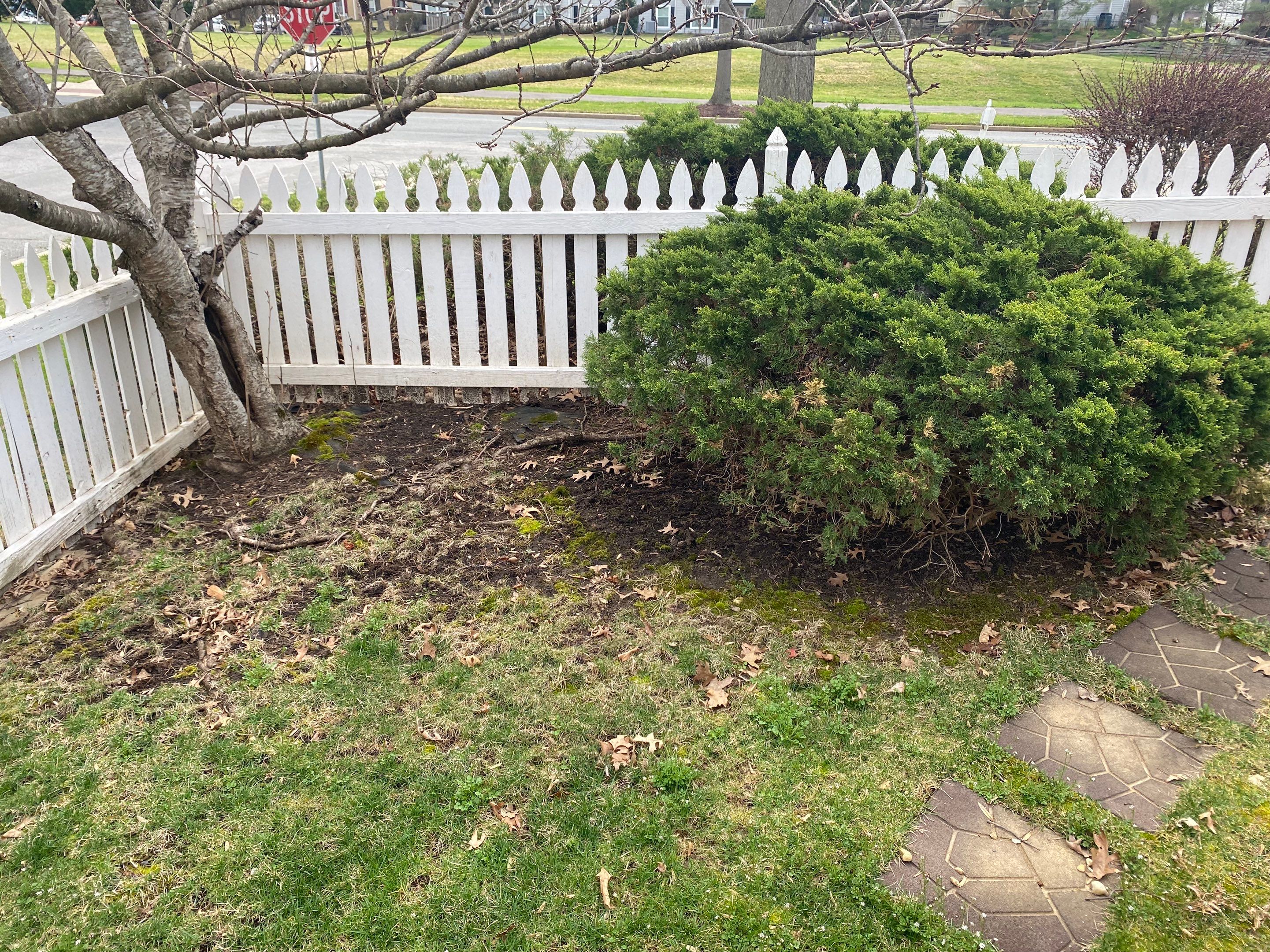 Landscape Design and Cleanup by The Smet Companies, LLC