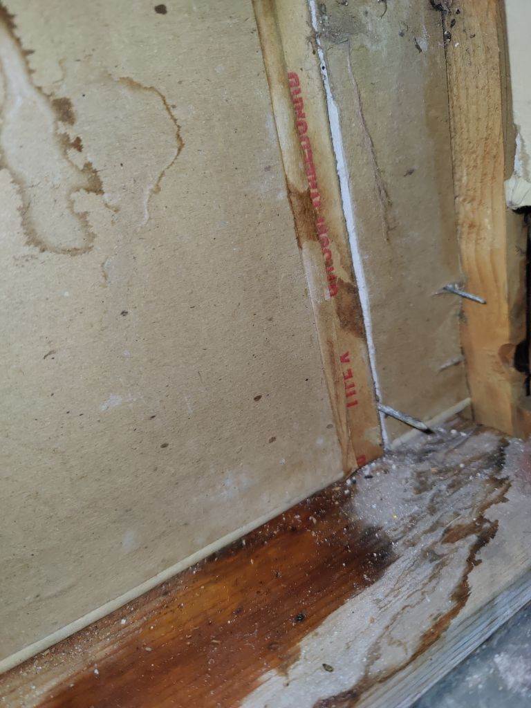 Water Damage by Accountable Home Services