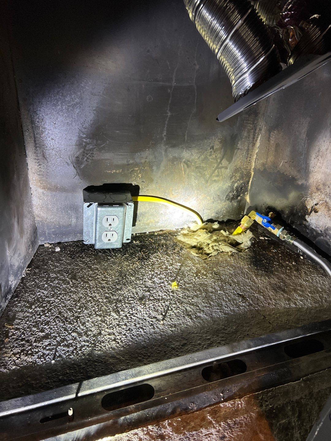 Gas Insert by Neighborhood Chimney Services 