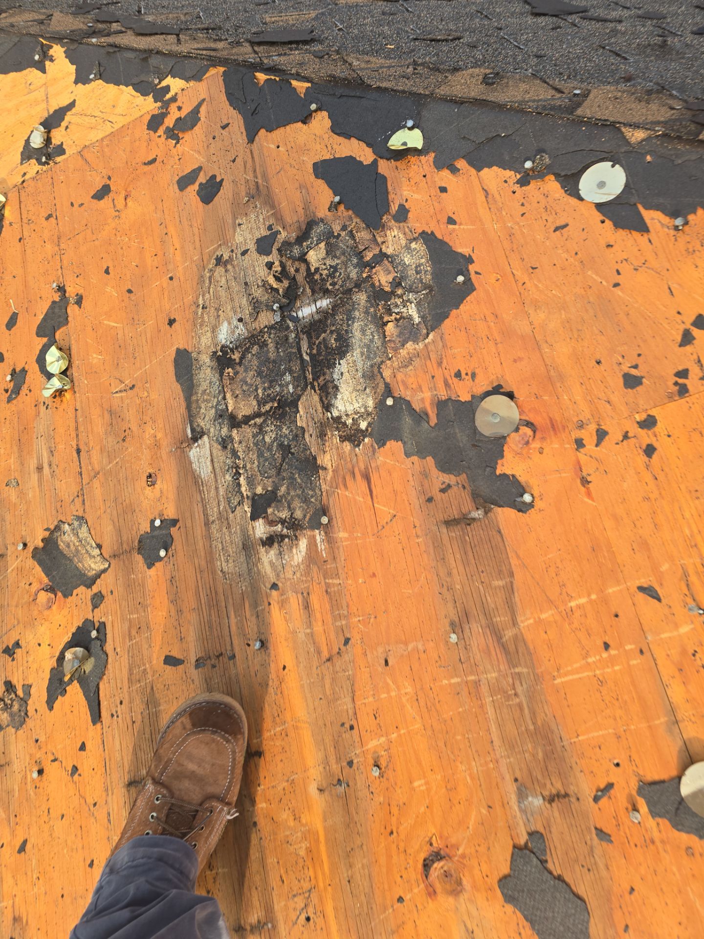 Roof Replacement Pasadena by Roof Repair Company