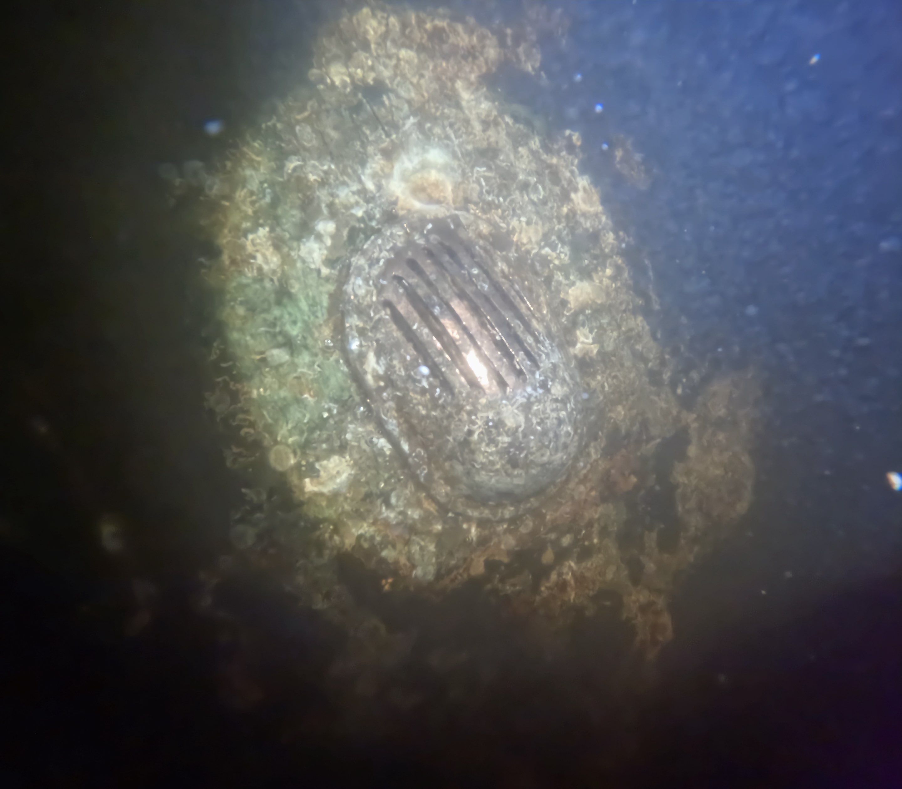 Project in North Fort Myers, FL by Florida Hull Cleaning 
