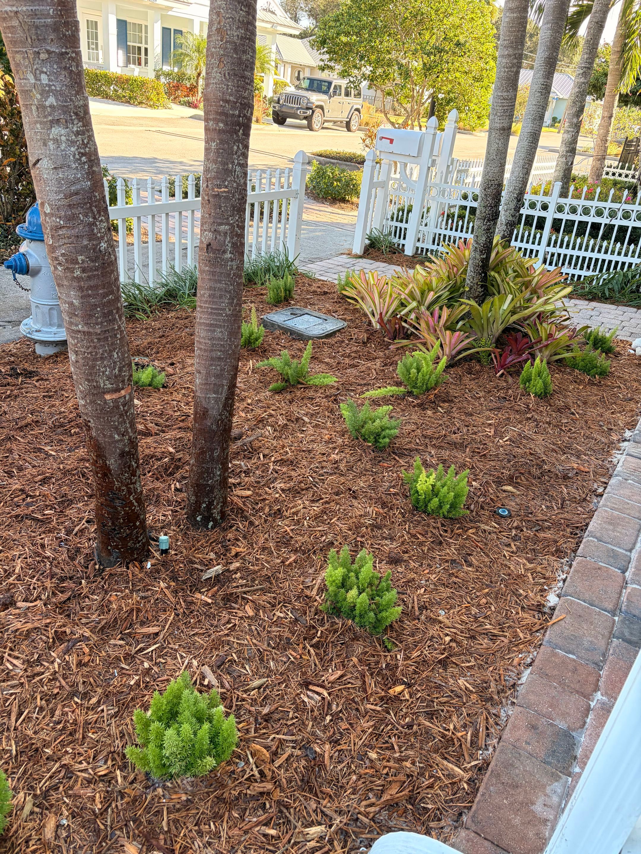 🌿 Front Entry Refresh in Downtown Stuart, FL by Alpha Zeta Enterprises Inc