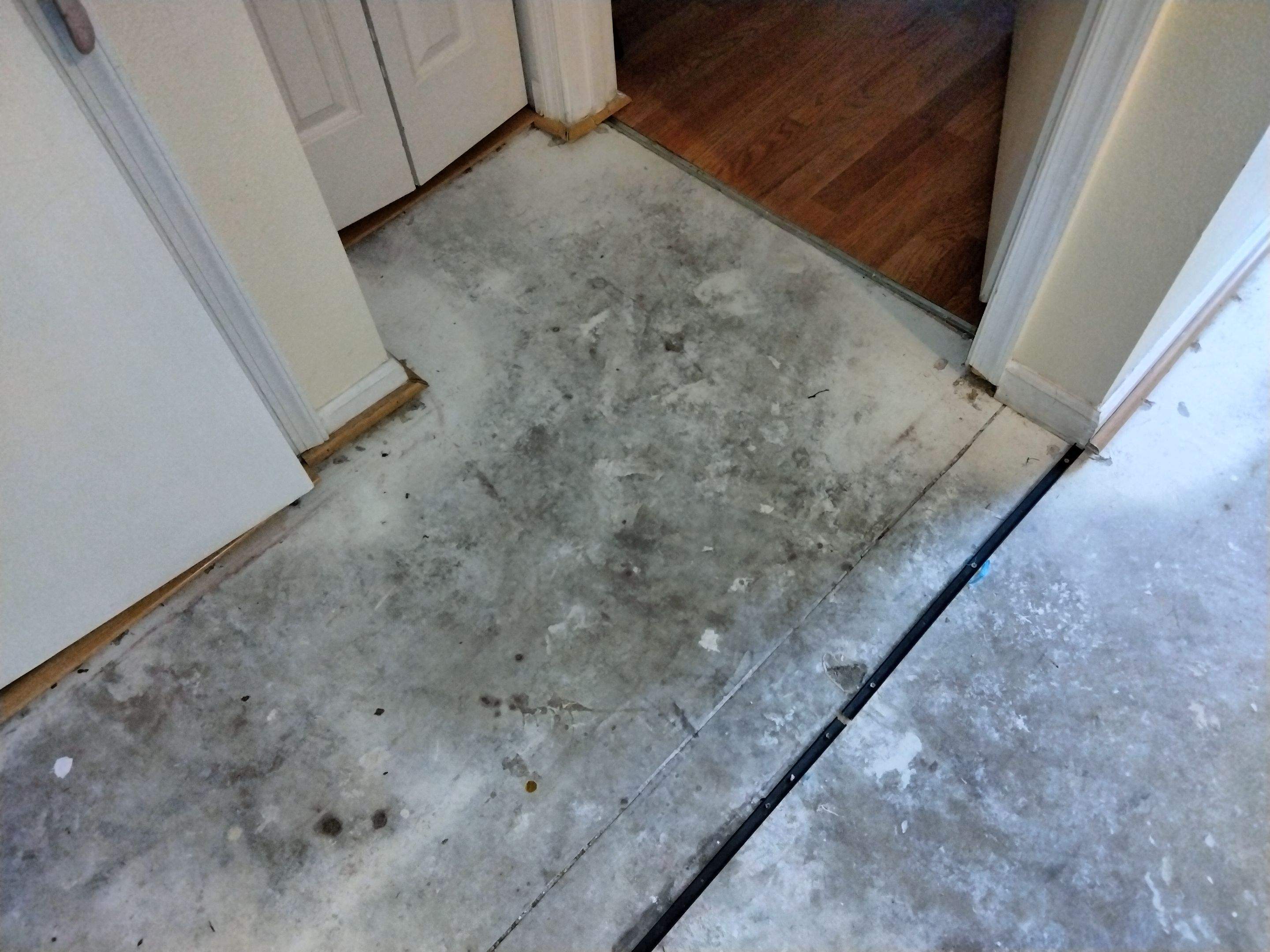 Water Damage Claim in West Palm Beach by FLAPA & KeyStone
