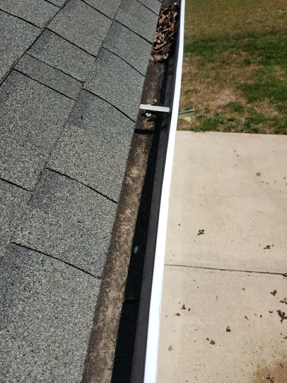 House Wash using cleaner by Power Wash Masters LLC