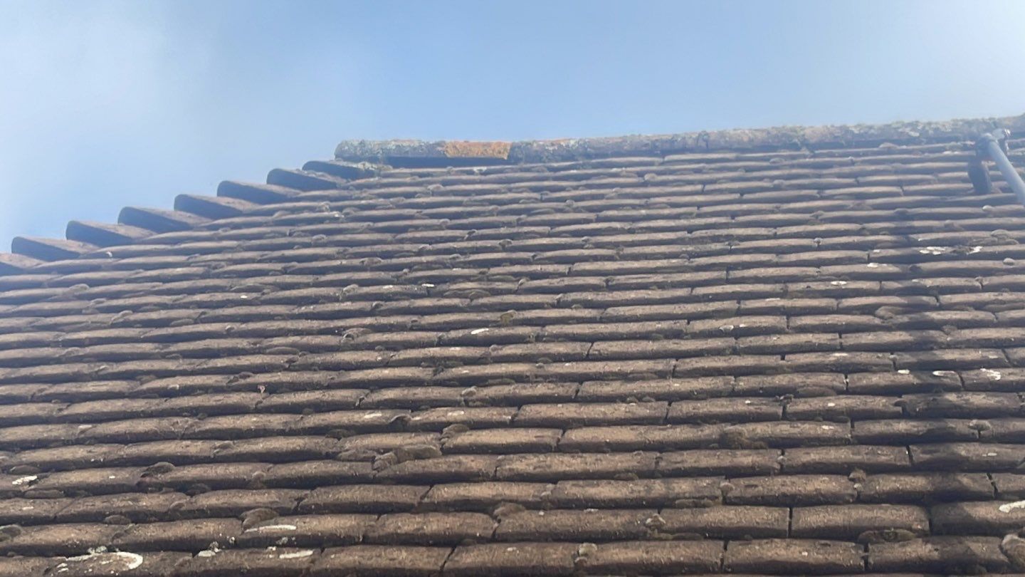 Roof Clean - Biocide Treatment using Mosmatic FSC and Biocide by Ges Exterior Cleaning ltd