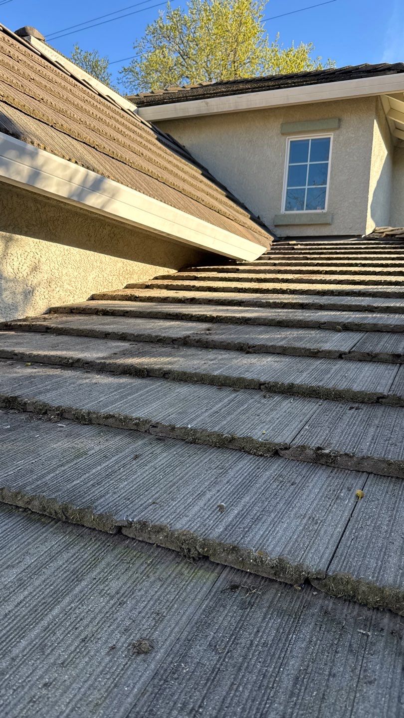 Project by NuLead Construction Inc by NuLead Construction Inc