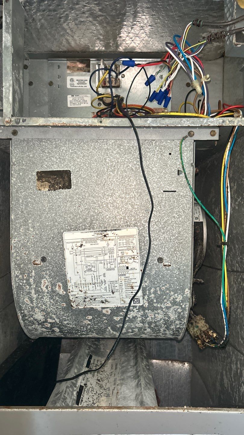 Air Duct Cleaning in Clermont by Hygienic Air, Inc