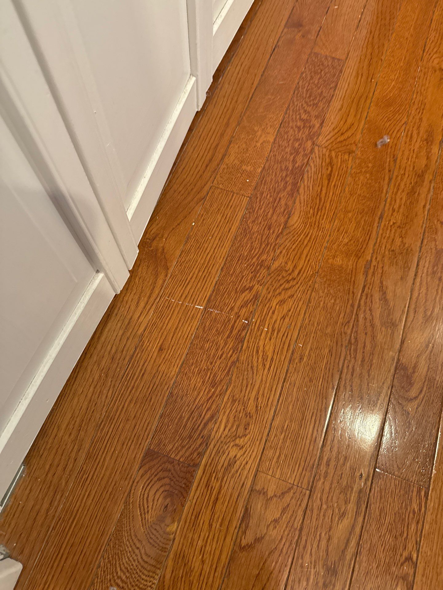 Interior Home Painting in Philadelphia, PA by Groovy Hues
