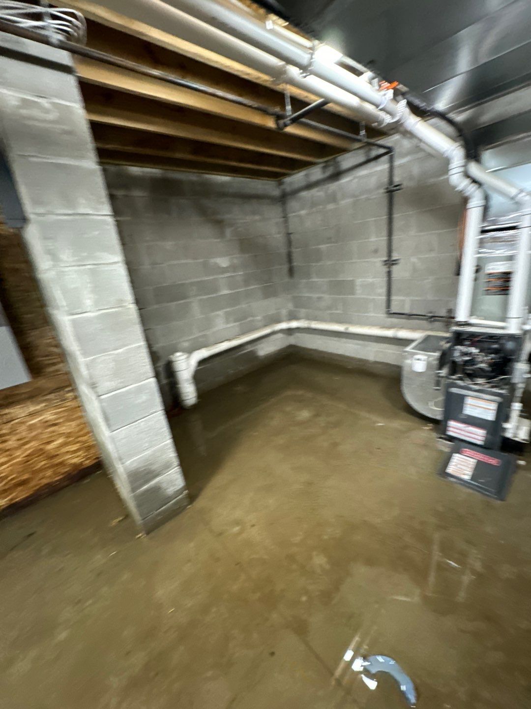 Project in Royal Oak by EzDry Water Mitigation & Property Restoration