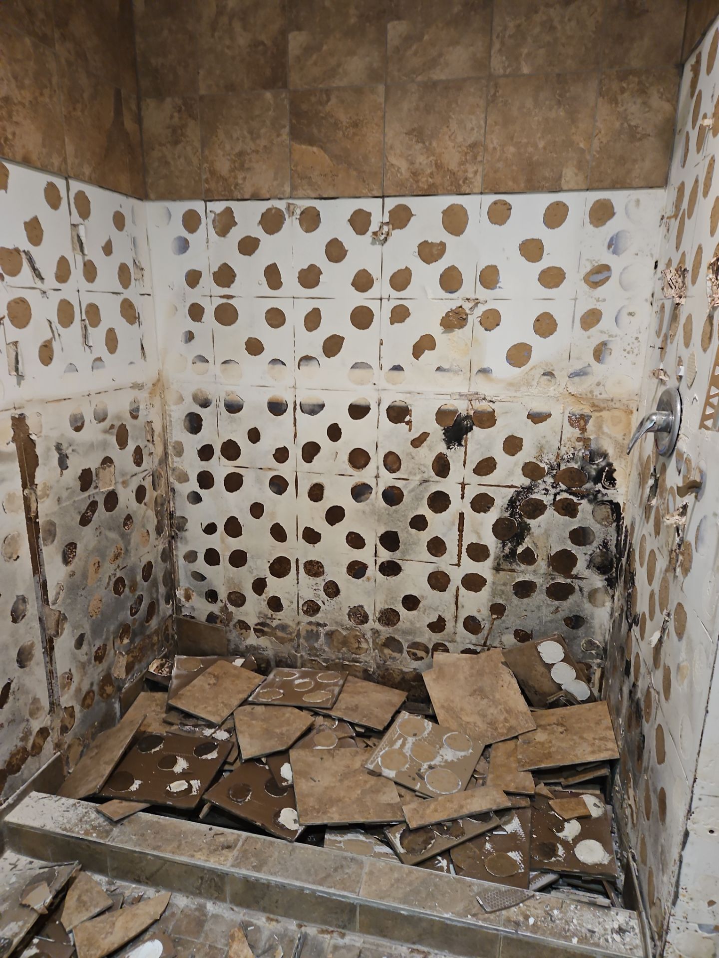 Mold removal and new shower Installation  by Eco-Nature Construction Inc.