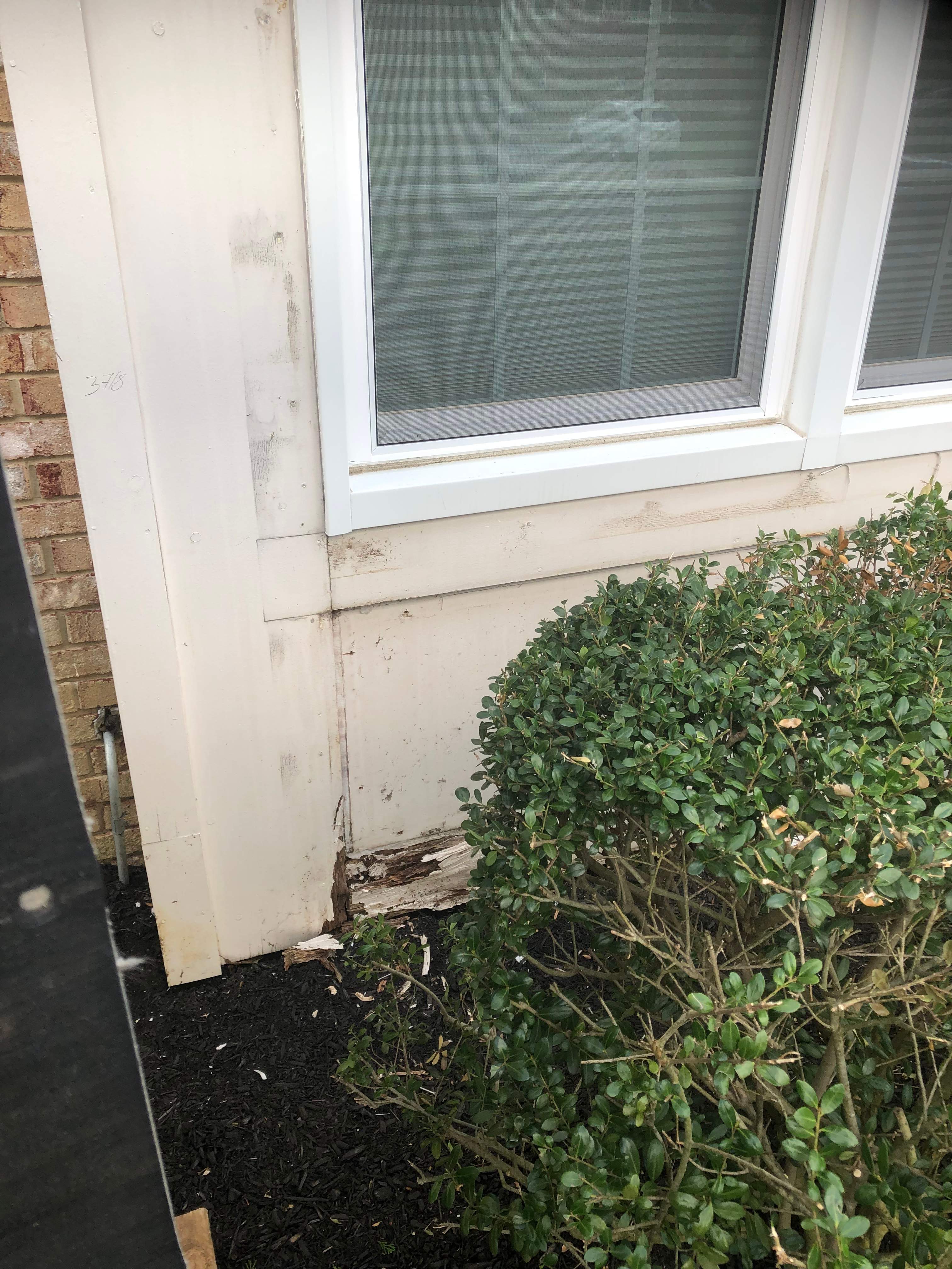 Siding  by Stofan Construction LLC