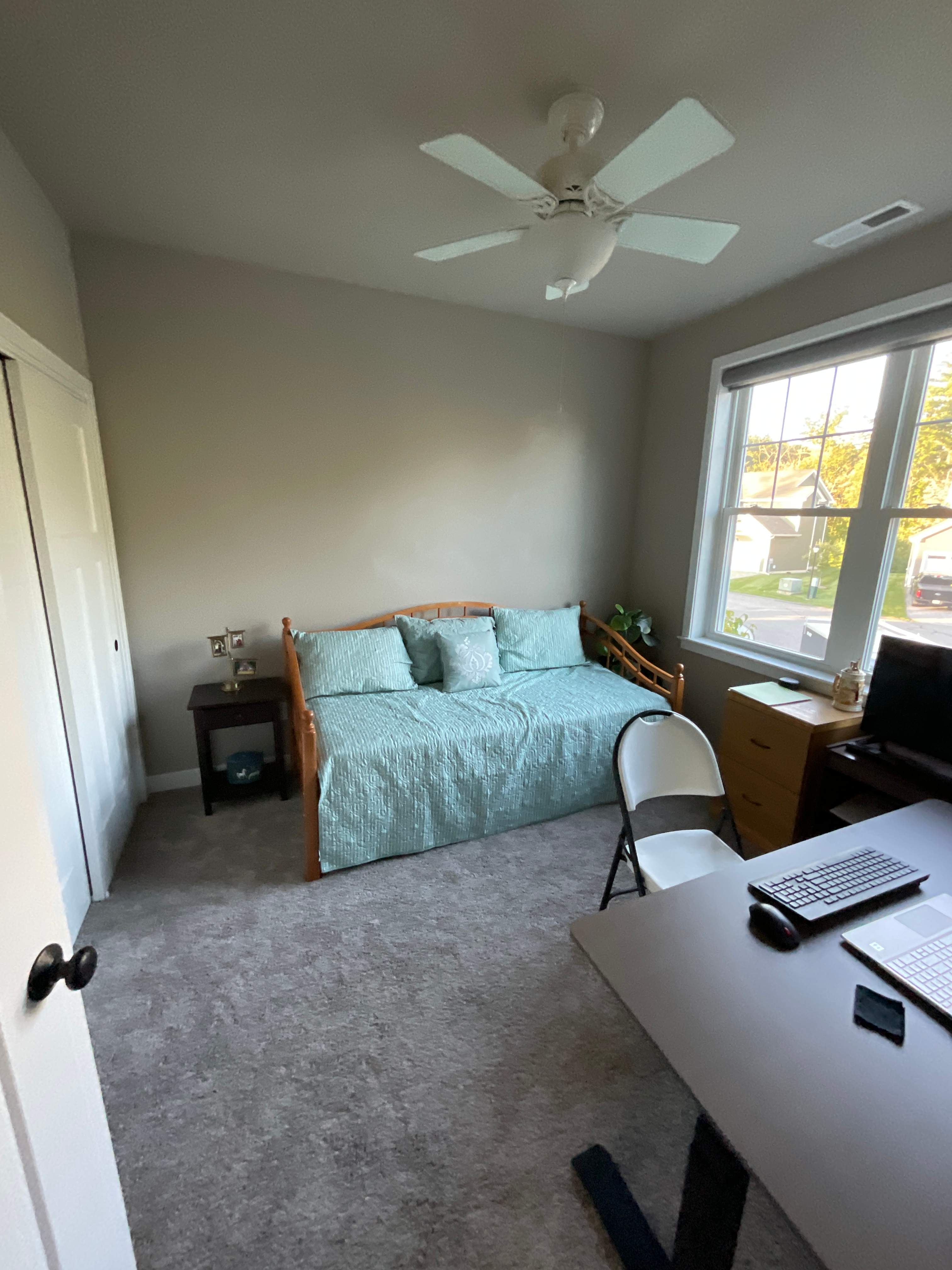 Interior Painting using Benjamin Moore Regal Select by The Persnickety Painters