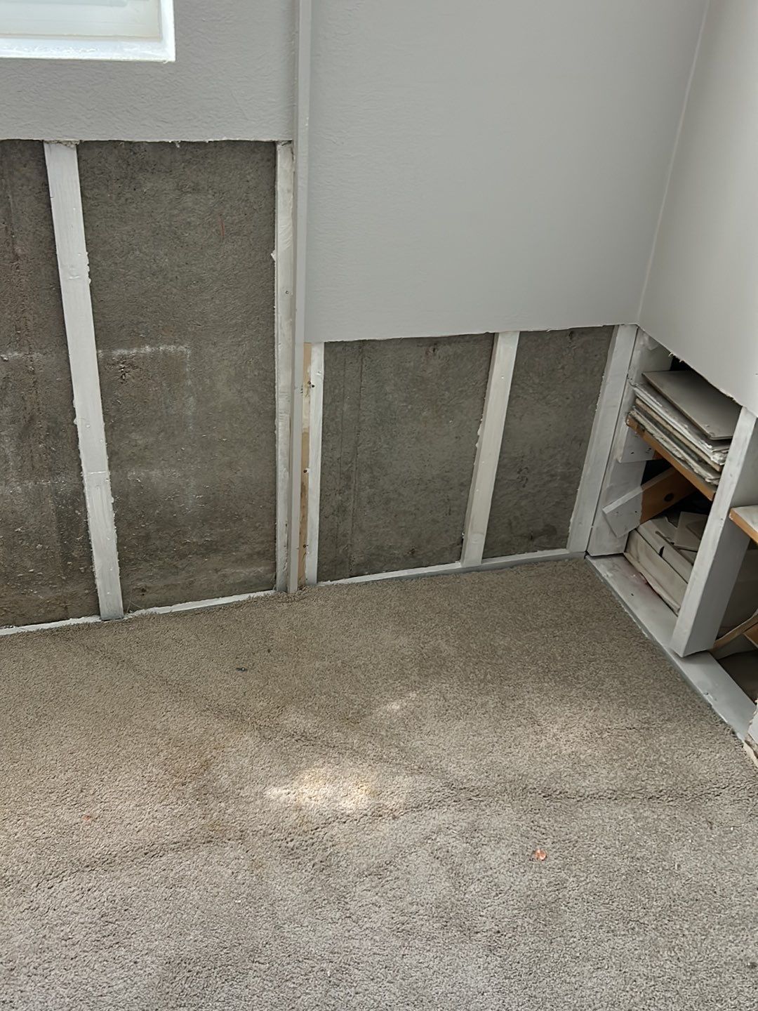 Mold Damage Repairs by Accountable Home Services