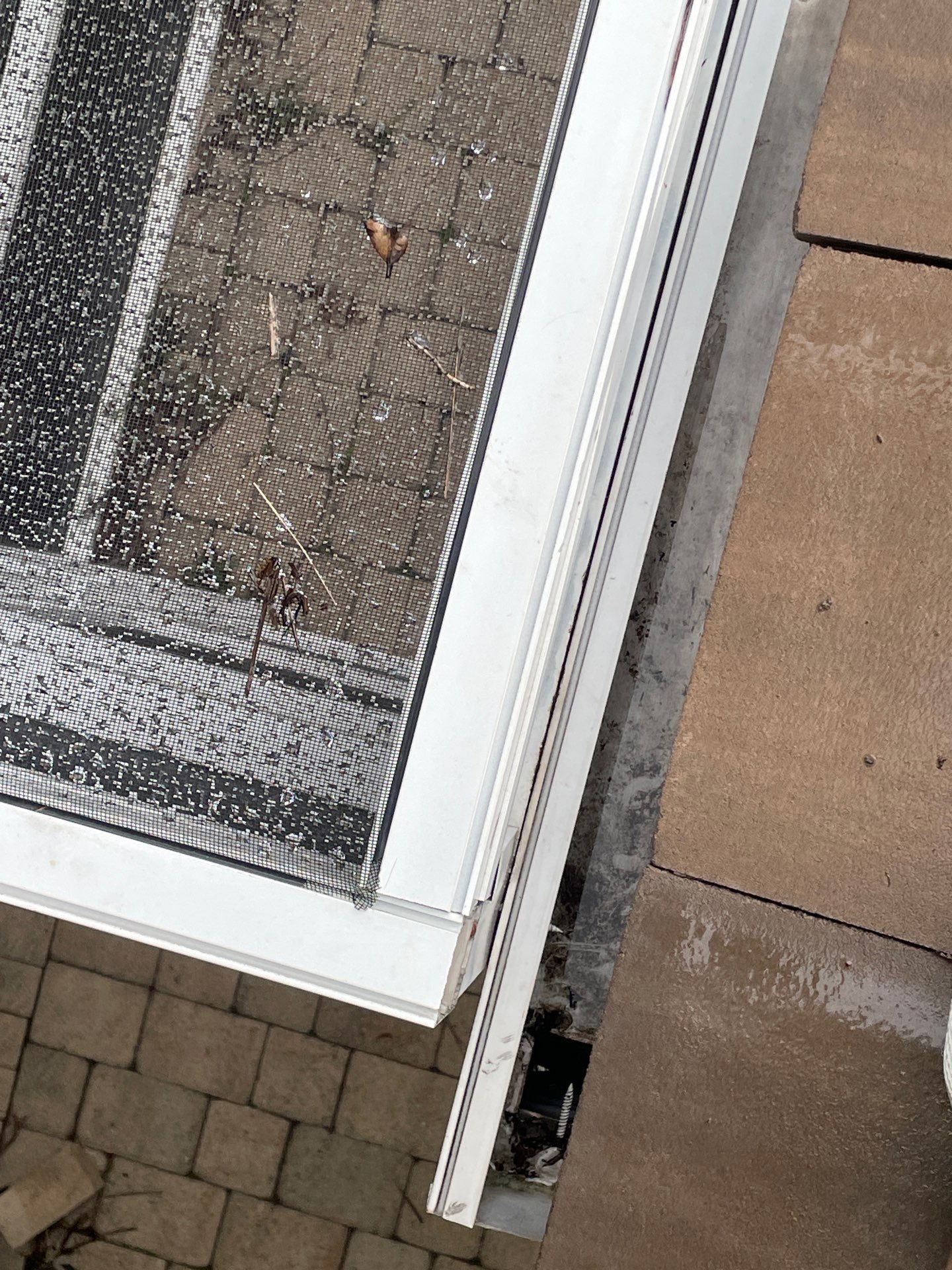 Gutter Cleaning using gutter cleaning in Sarasota FL by Gutter Professors