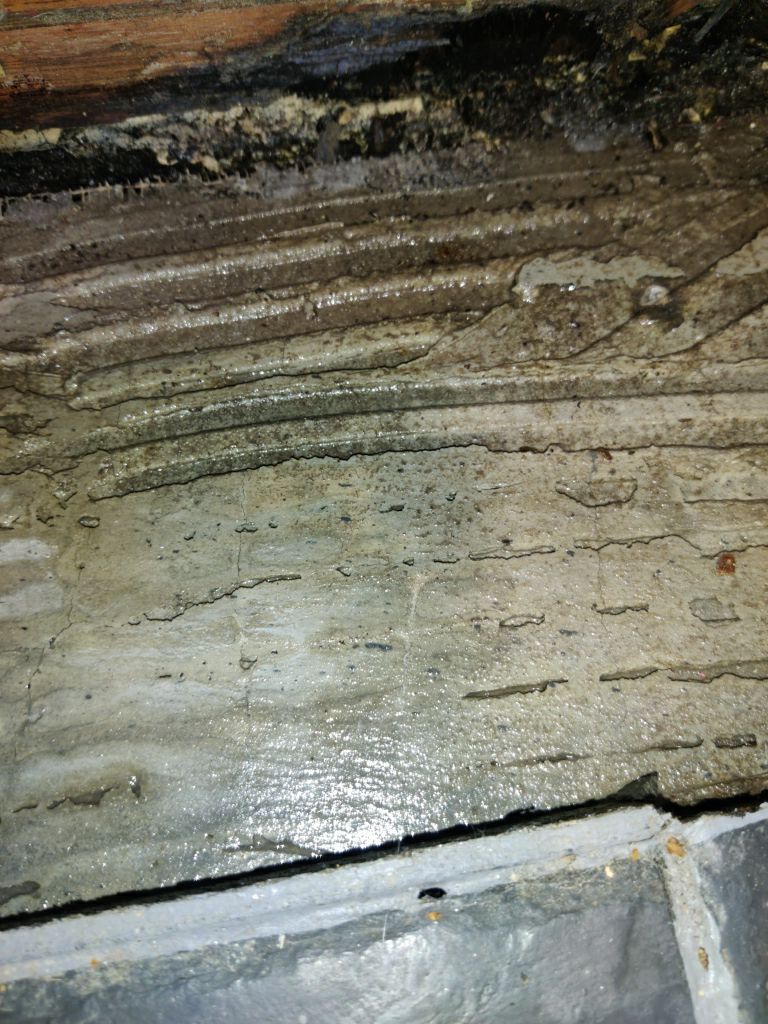 Mold Remediation using Containment by Accountable Home Services