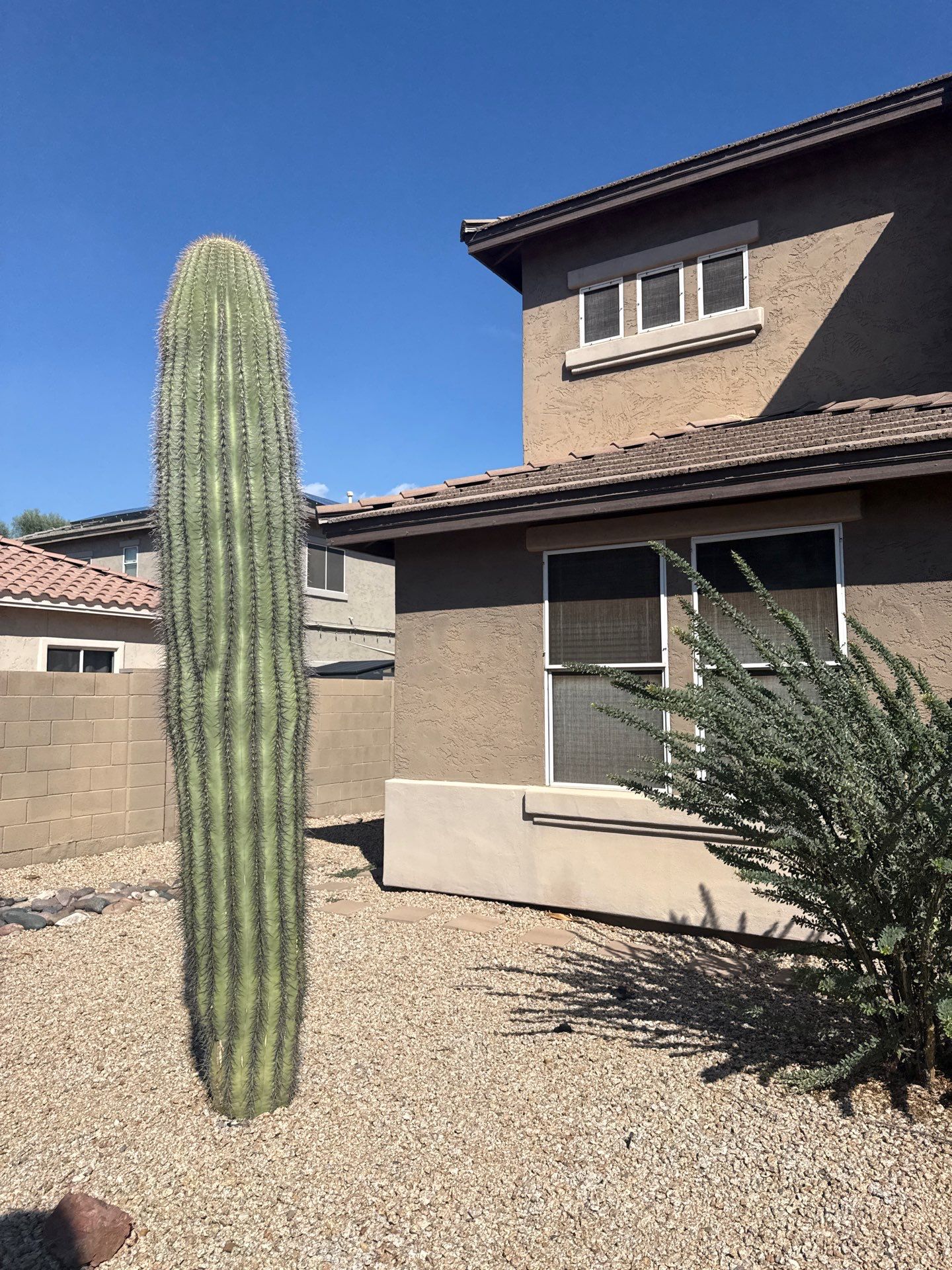 Tile Roof Underlayment Replacement and Repair in Goodyear, Arizona by APM Builders LLC