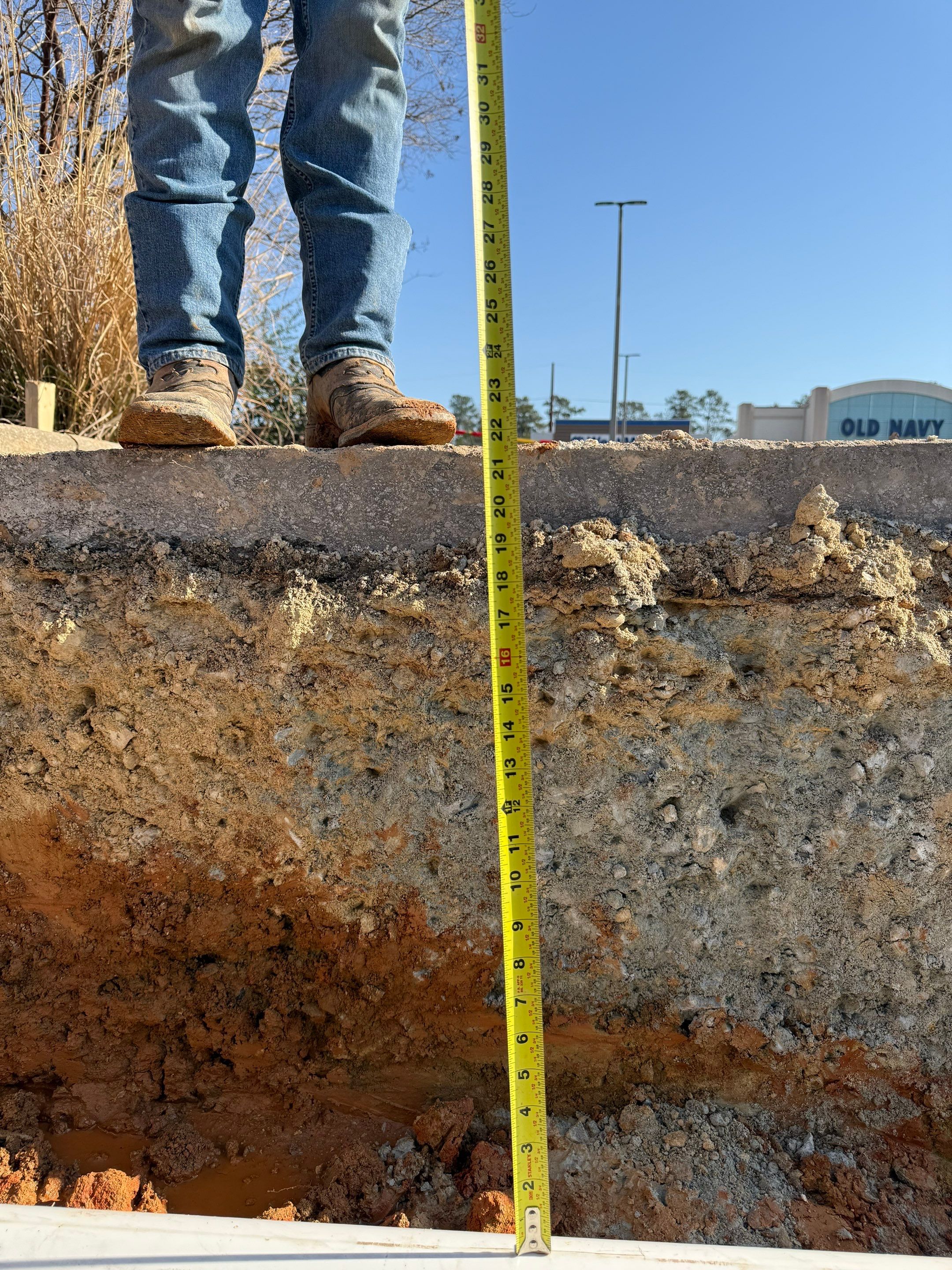 FTB Haribson Bank Project Columbia SC - (Commercial) by Carolina-Metro Landscape, Inc