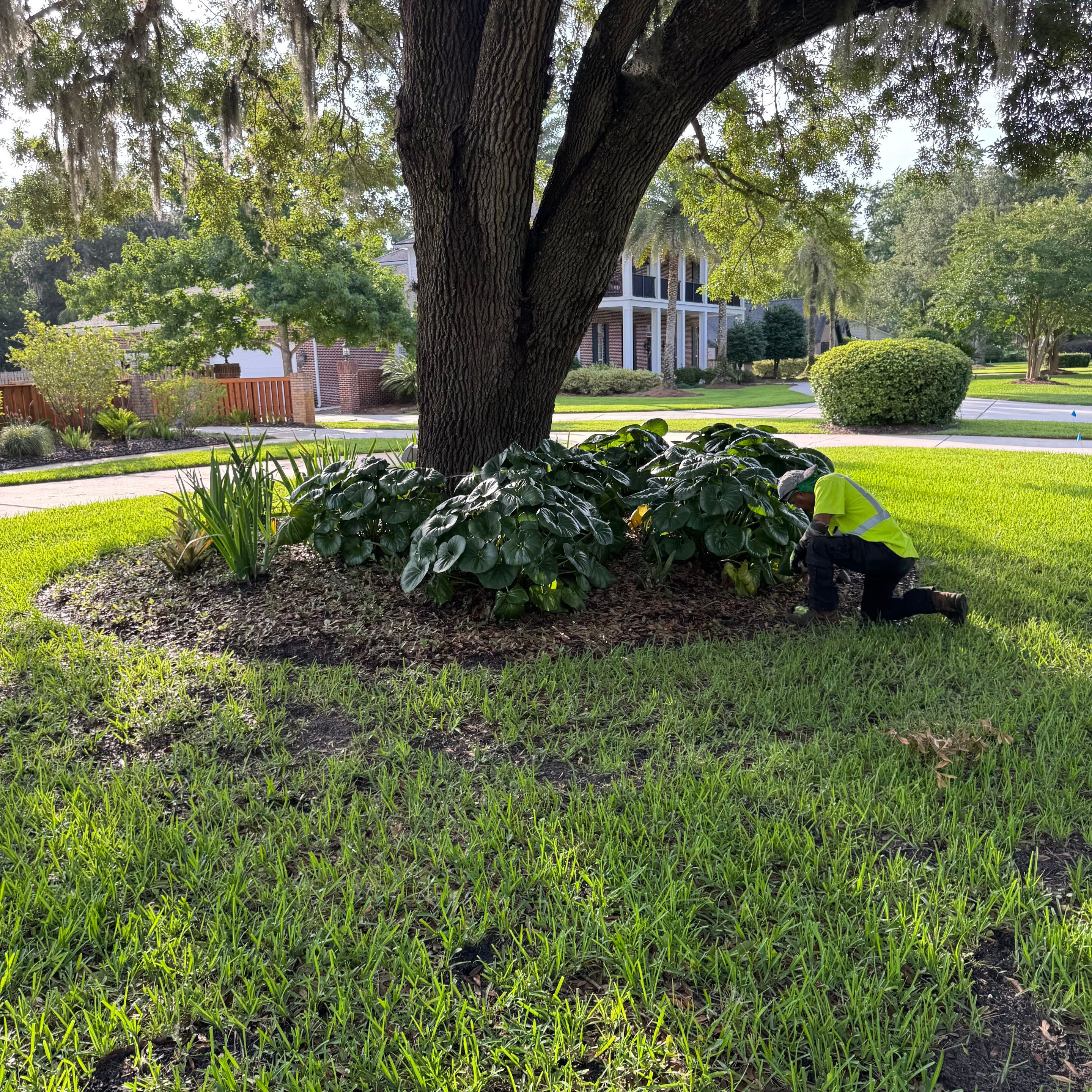 Deerwood Resident | Pine Bark Install & Clean-Up by ProGreen Services