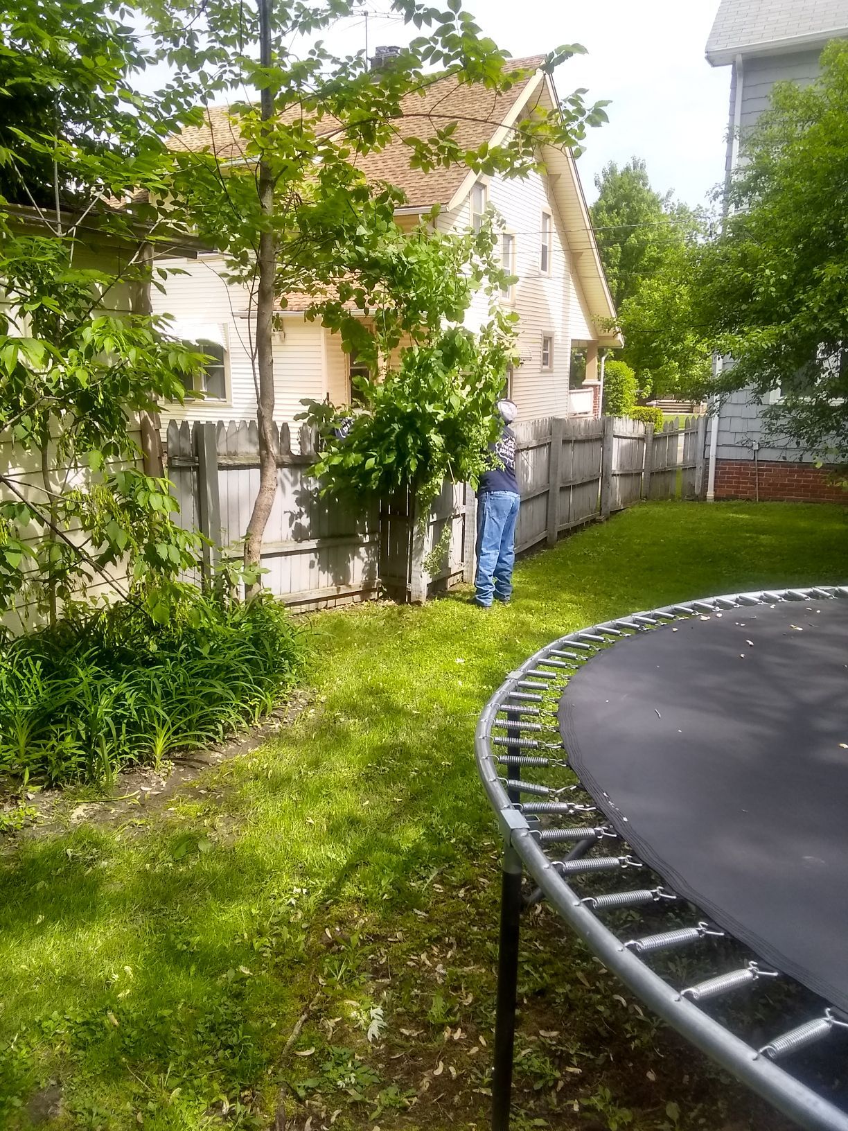 Tree Removal using Tree Removal by Mike Jones & Sons Tree Service LLC 