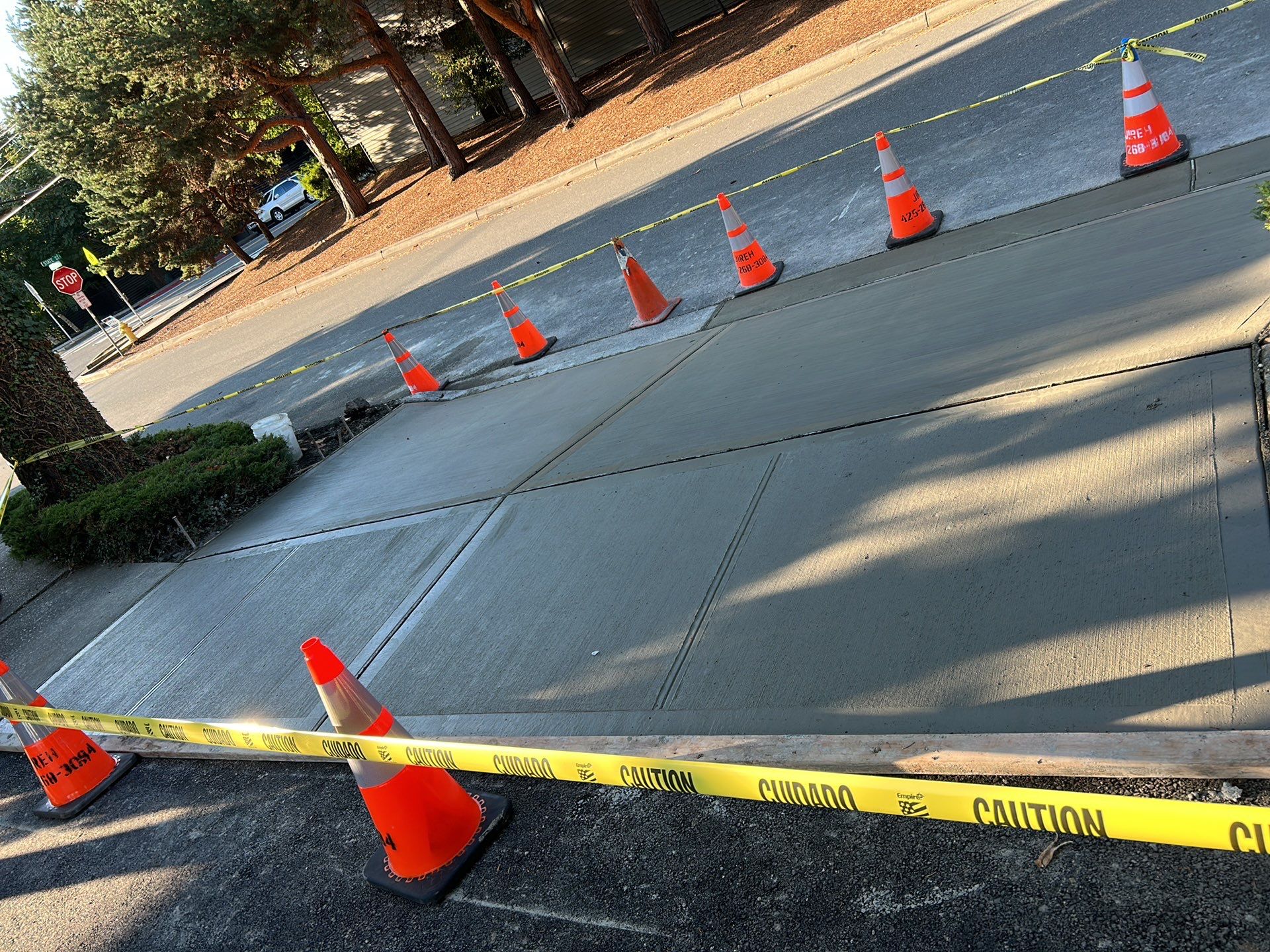 Oscar | Sidewalk Repair, Concrete Project  by Jireh Asphalt & Concrete Inc 