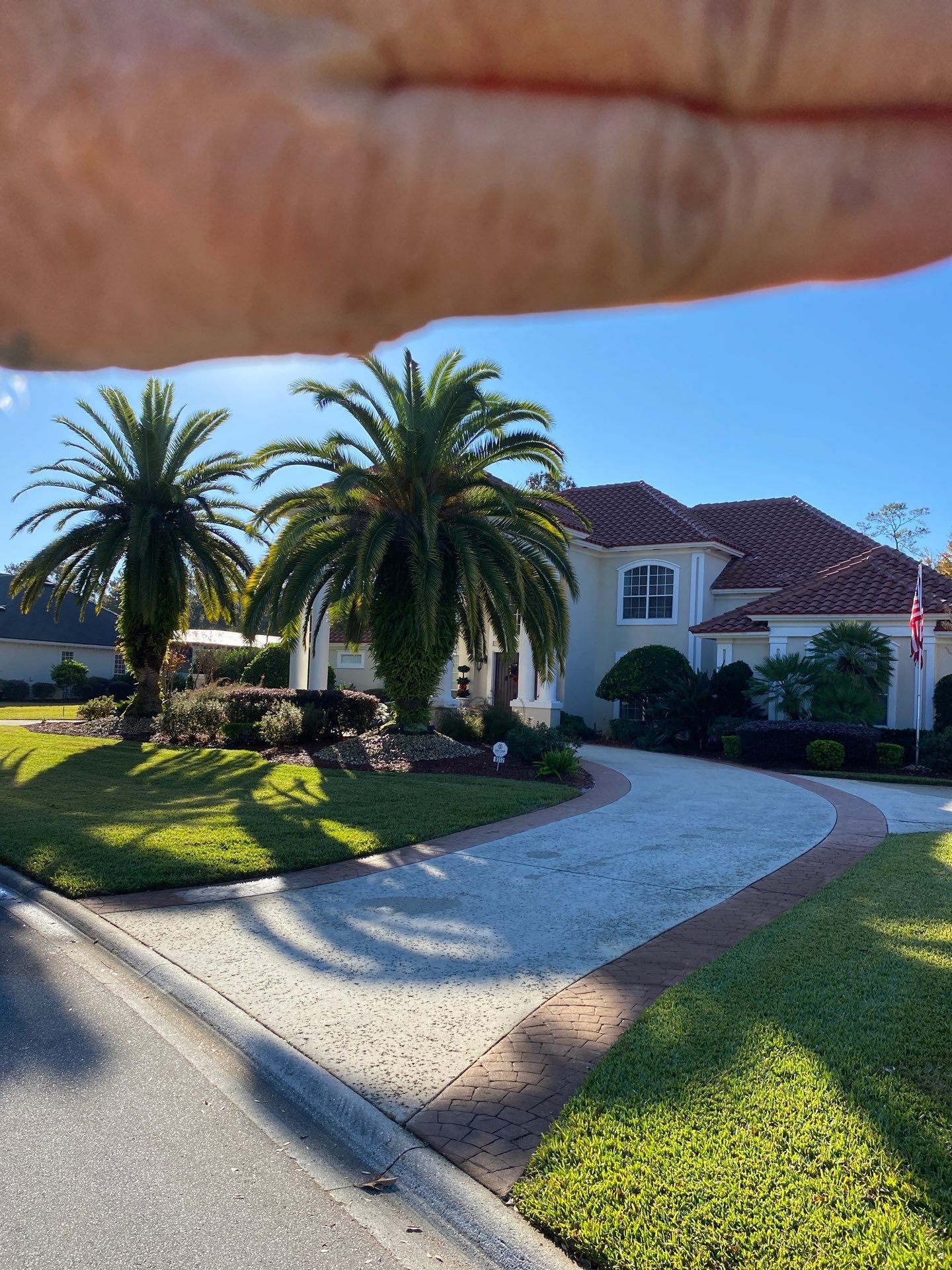 Deerwood Resident | Palm Trimming & Ground Cover by ProGreen Services