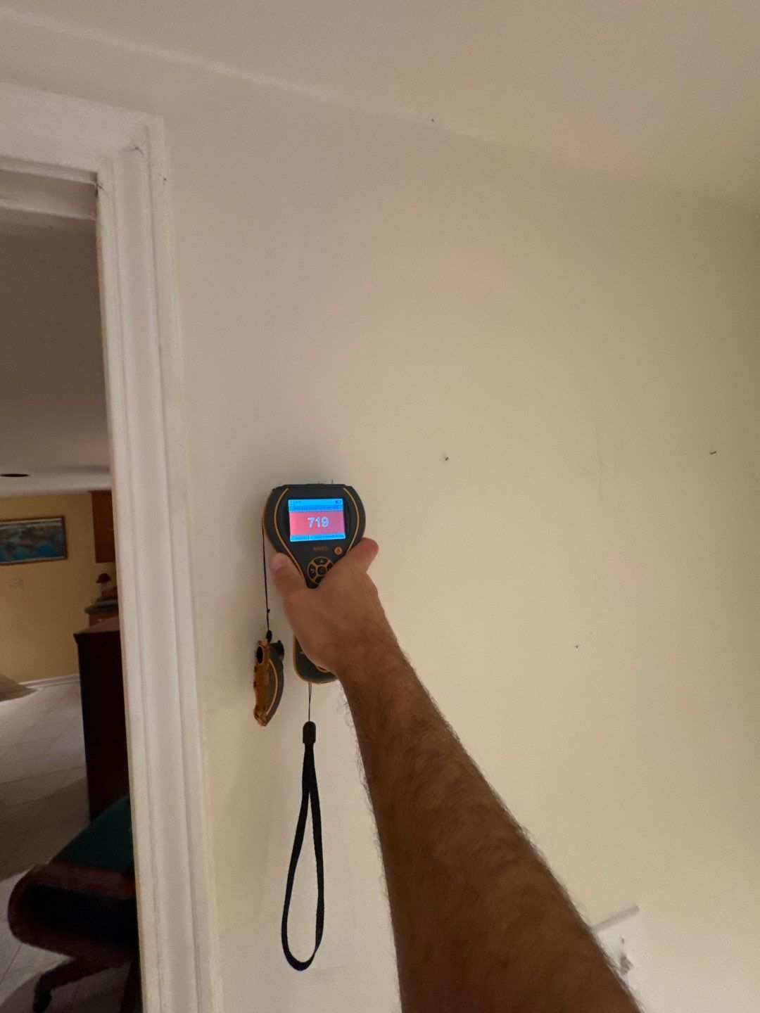 Project in Novi by EzDry Water Mitigation & Property Restoration