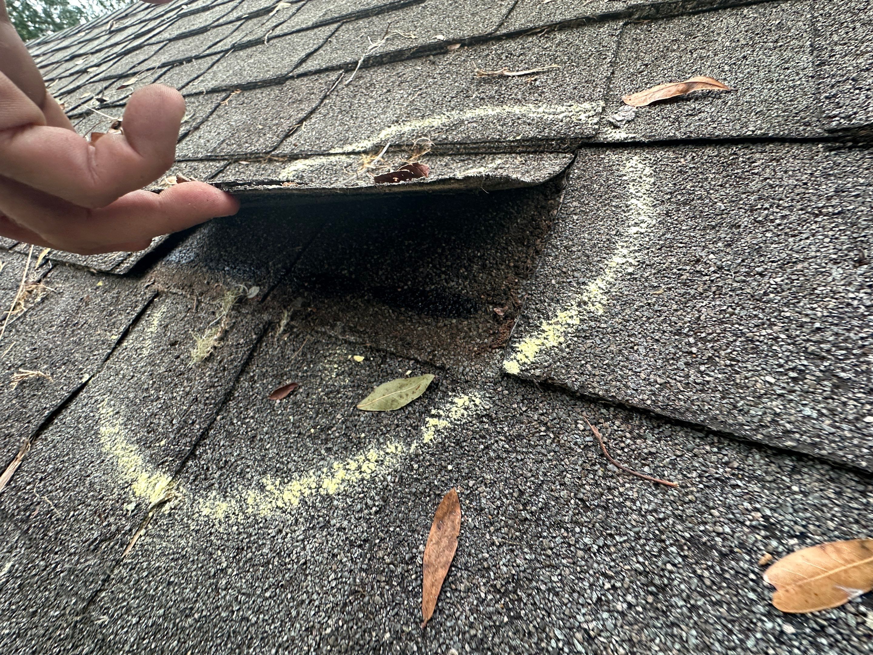 Roof Damage Claim in Pinetta by FLAPA & KeyStone