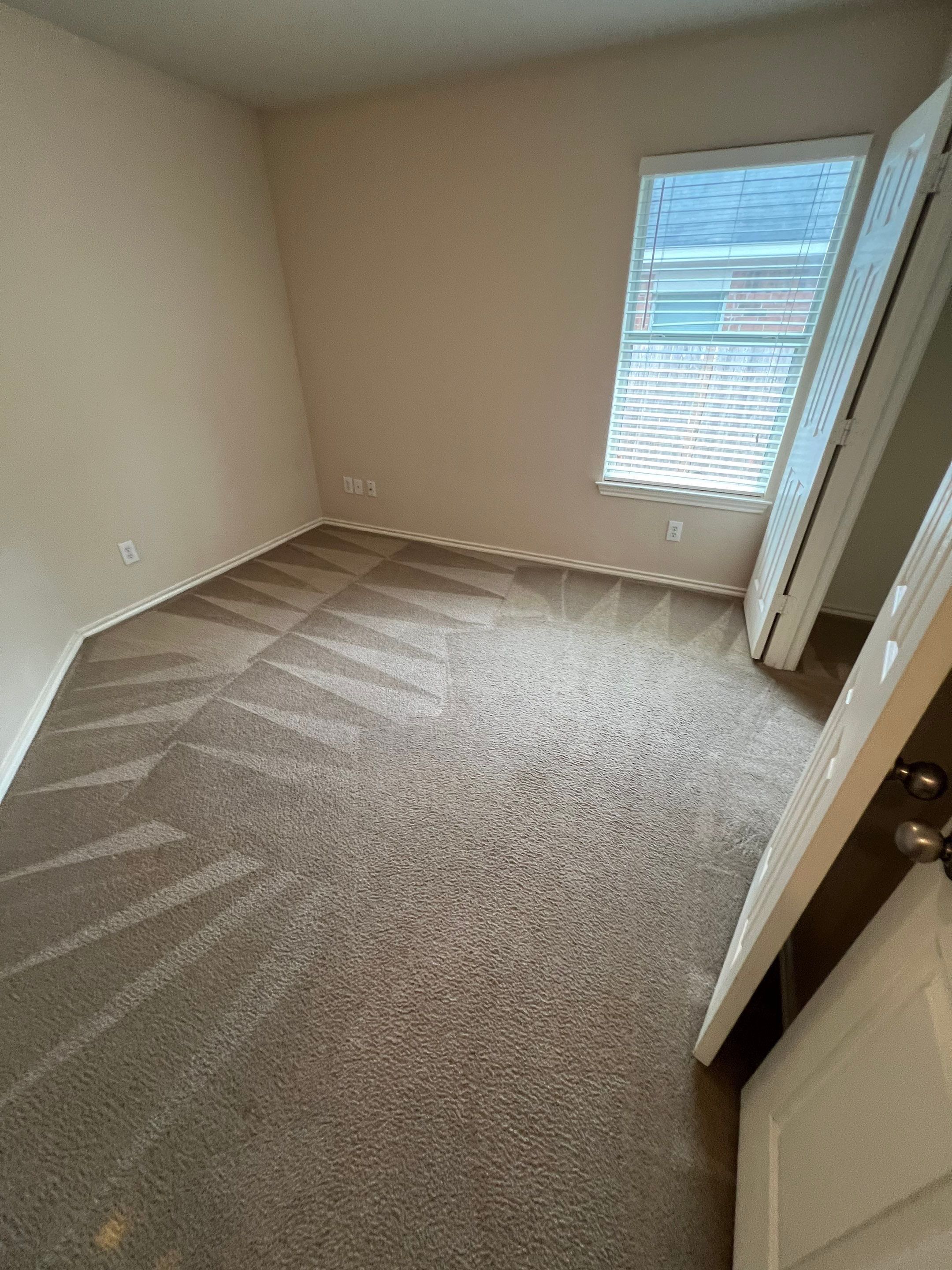 the carpet in the room is being professionally cleaned showing neat shampoo lines and a refreshed appearance