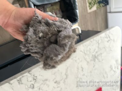 Air Duct and Dryer Vent Cleaning in Clermont