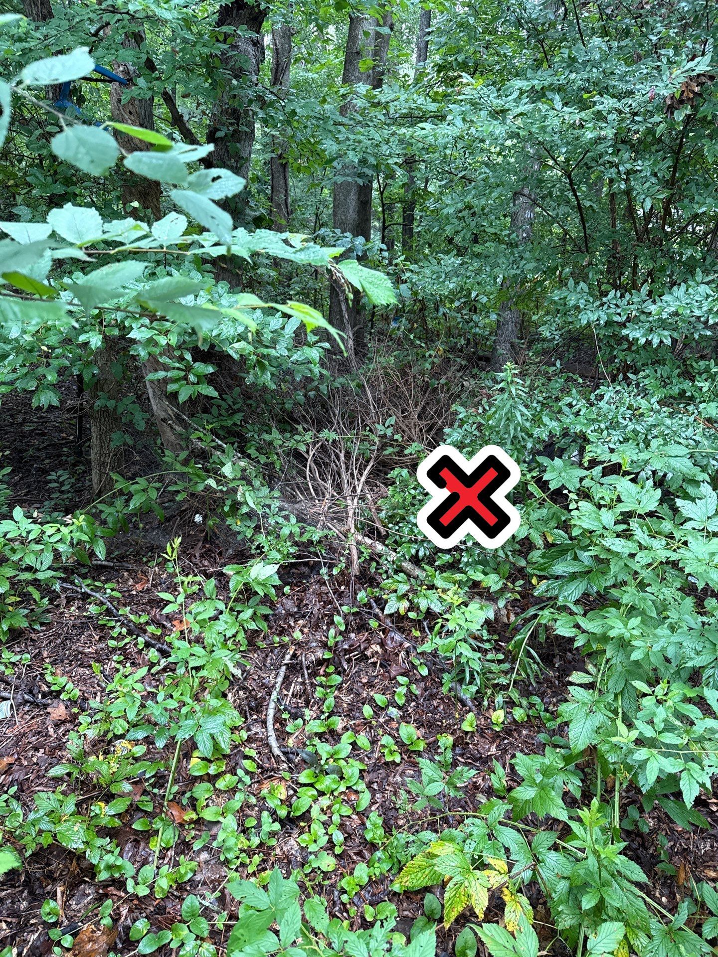 Project in Indian Trail by Badger Hauling